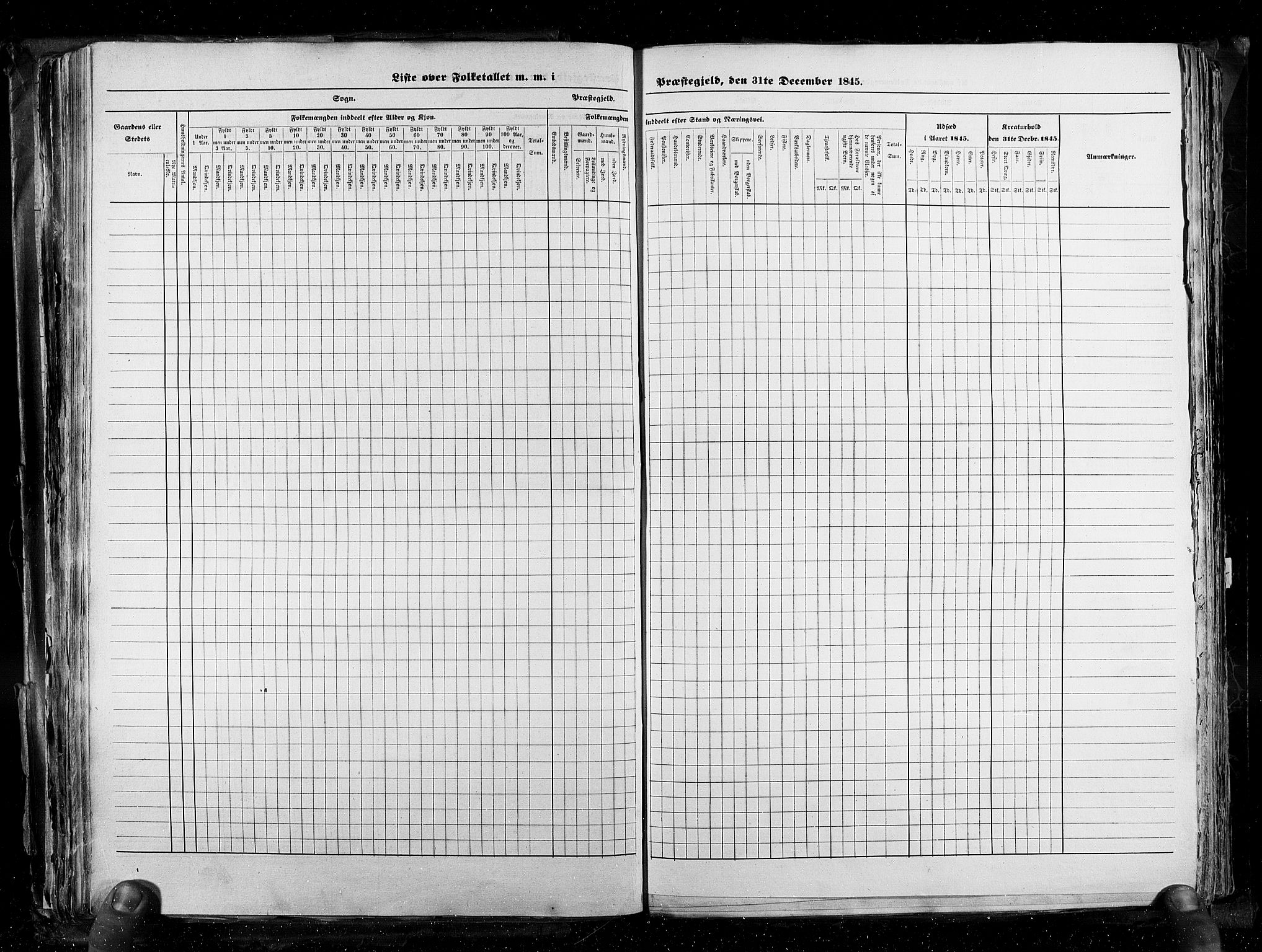 RA, Census 1845, vol. 3: Hedemarken amt og Kristians amt, 1845, p. 171