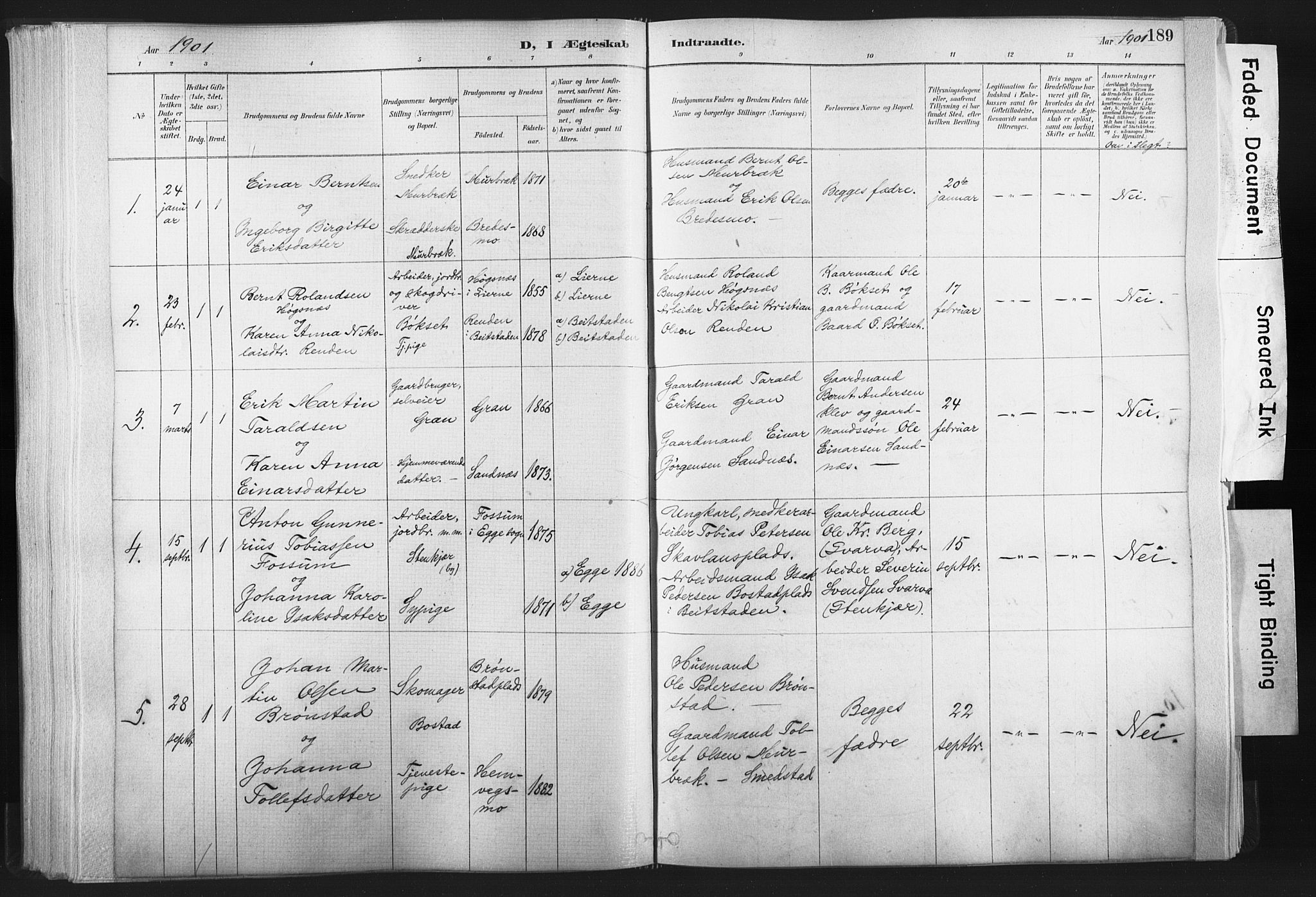 Ministerialprotokoller, klokkerbøker og fødselsregistre - Nord-Trøndelag, SAT/A-1458/749/L0474: Parish register (official) no. 749A08, 1887-1903, p. 189