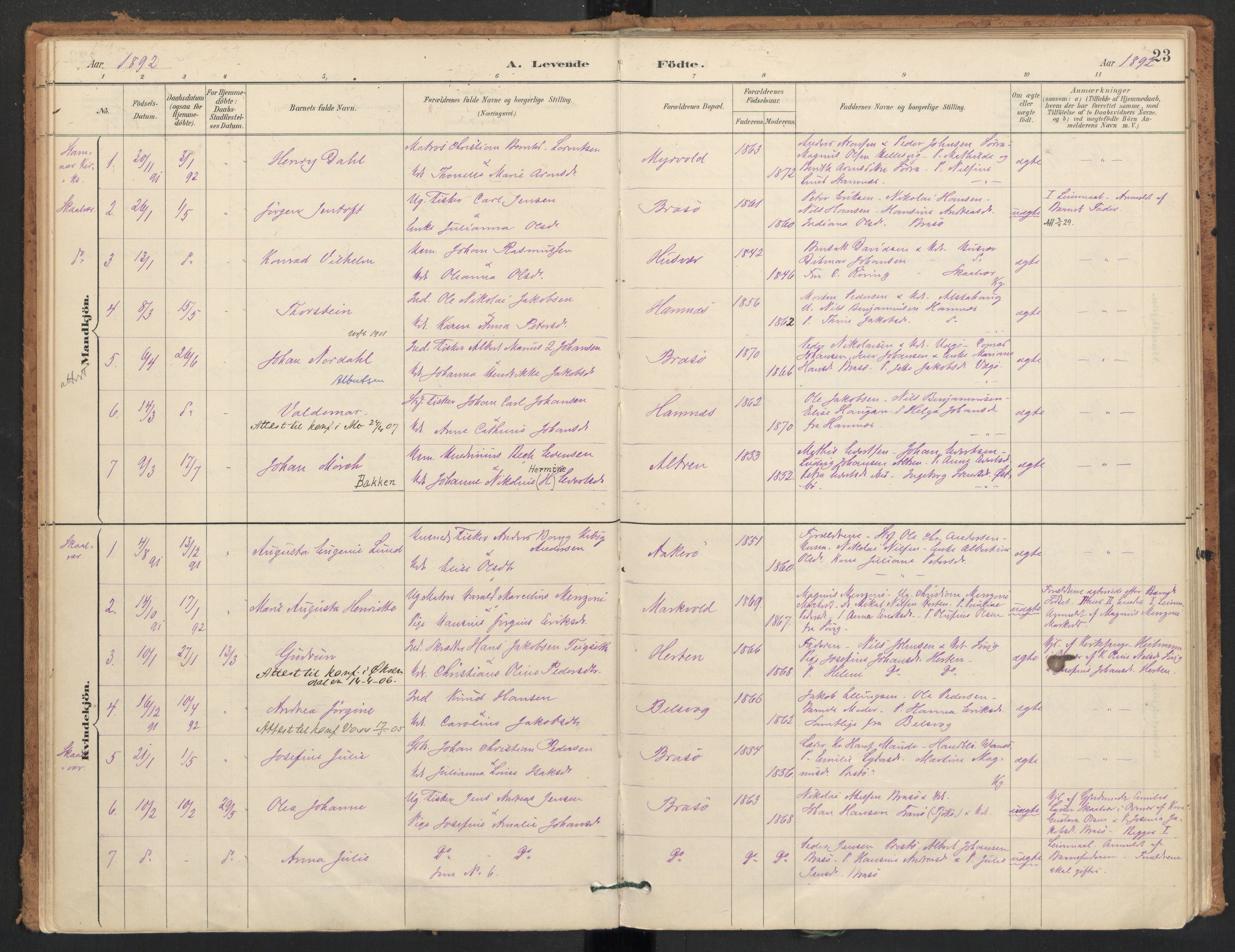 Ministerialprotokoller, klokkerbøker og fødselsregistre - Nordland, SAT/A-1459/830/L0453: Parish register (official) no. 830A17, 1886-1911, p. 23