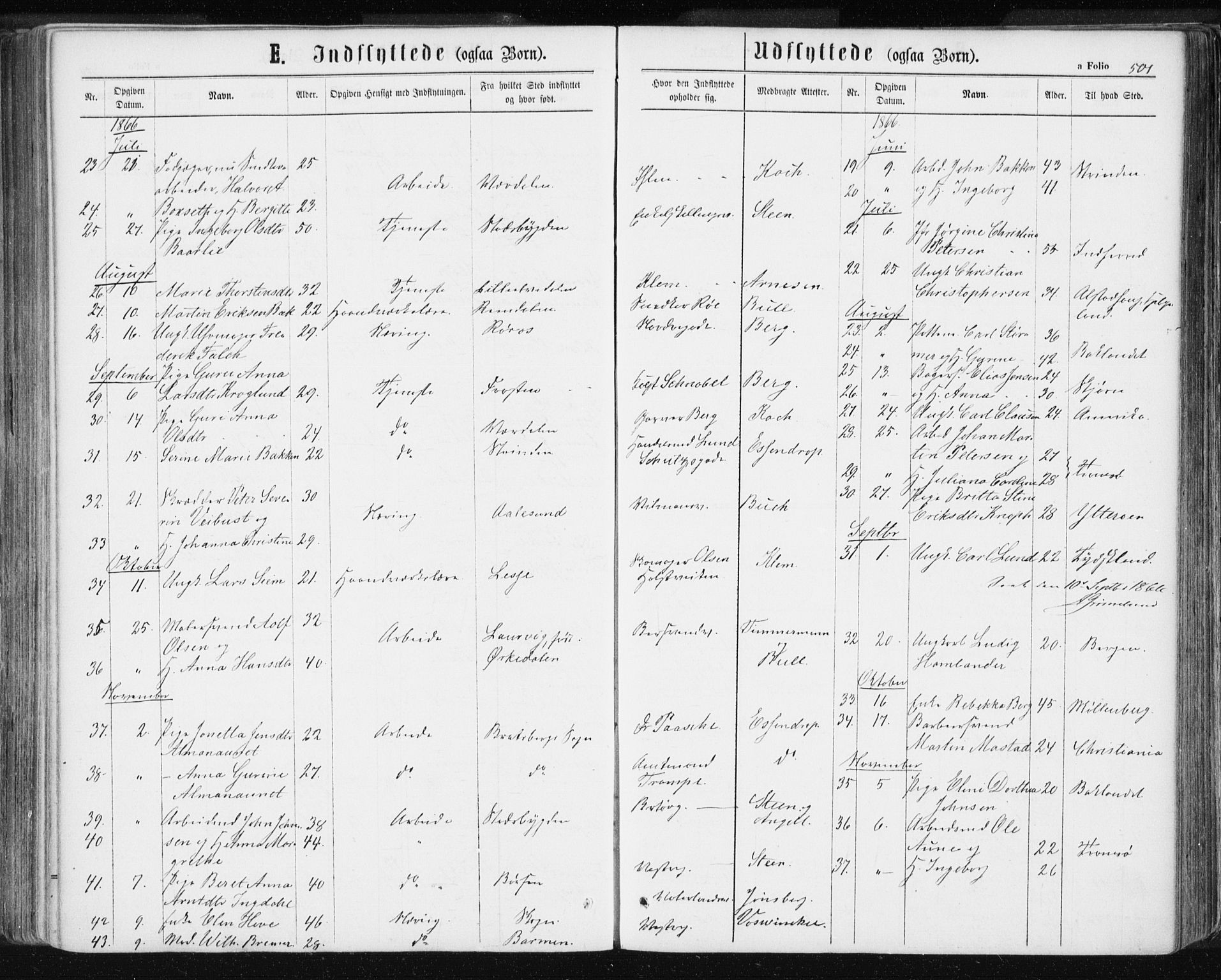 Ministerialprotokoller, klokkerbøker og fødselsregistre - Sør-Trøndelag, AV/SAT-A-1456/601/L0055: Parish register (official) no. 601A23, 1866-1877, p. 501