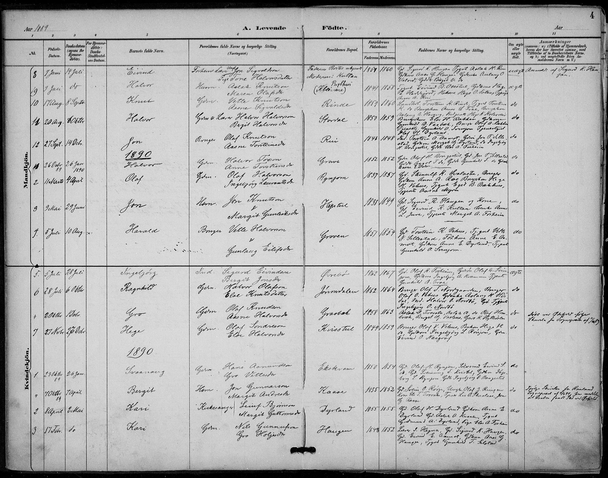 Seljord kirkebøker, SAKO/A-20/F/Fc/L0002: Parish register (official) no. III 2, 1887-1920, p. 4