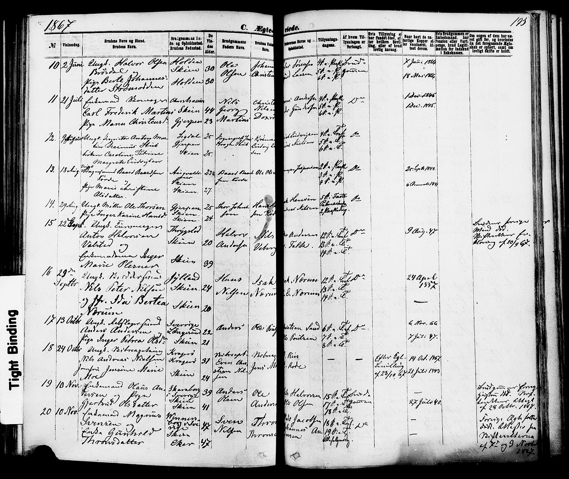 Skien kirkebøker, SAKO/A-302/F/Fa/L0008: Parish register (official) no. 8, 1866-1877, p. 195