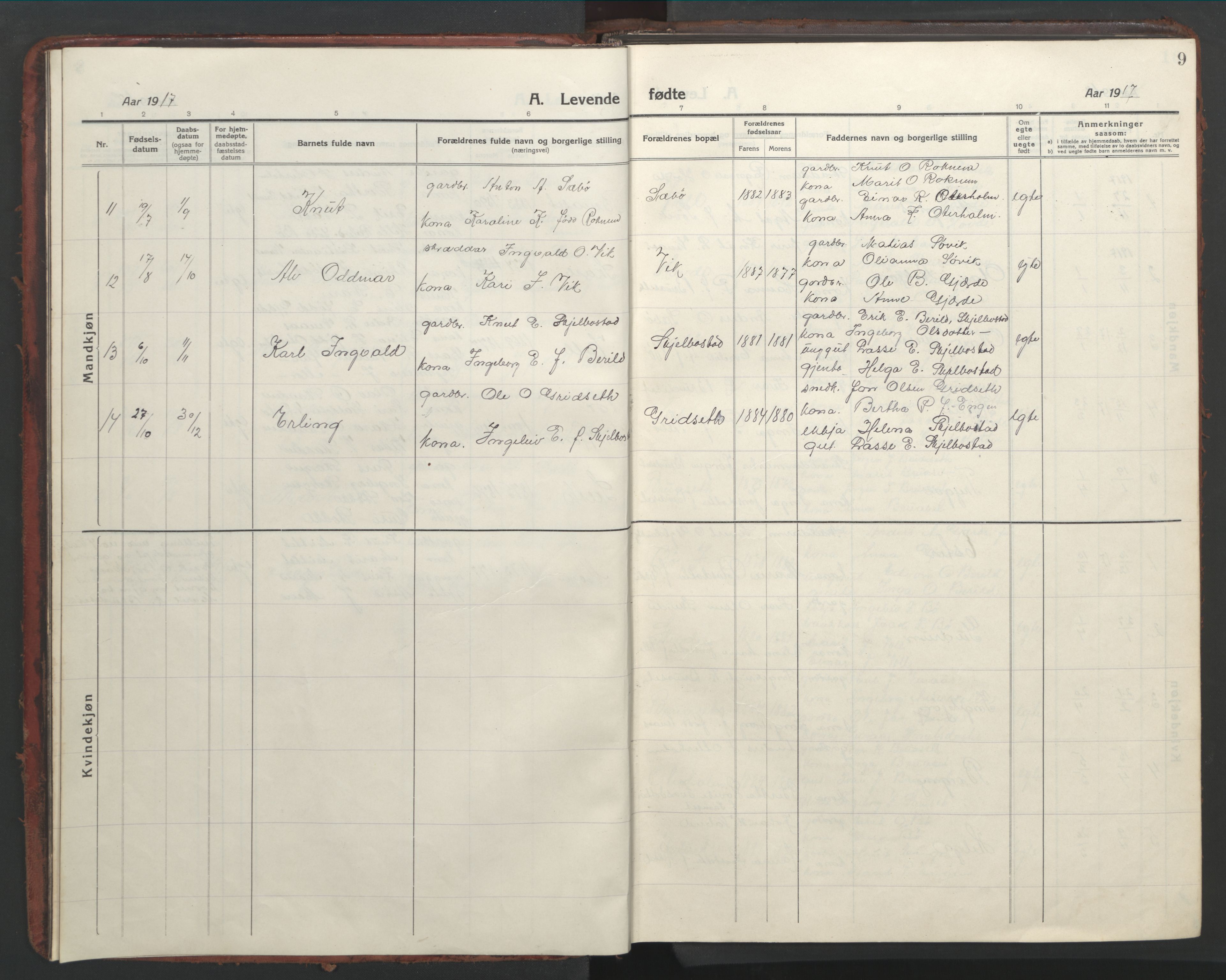 Ministerialprotokoller, klokkerbøker og fødselsregistre - Møre og Romsdal, AV/SAT-A-1454/543/L0565: Parish register (copy) no. 543C03, 1916-1955, p. 9