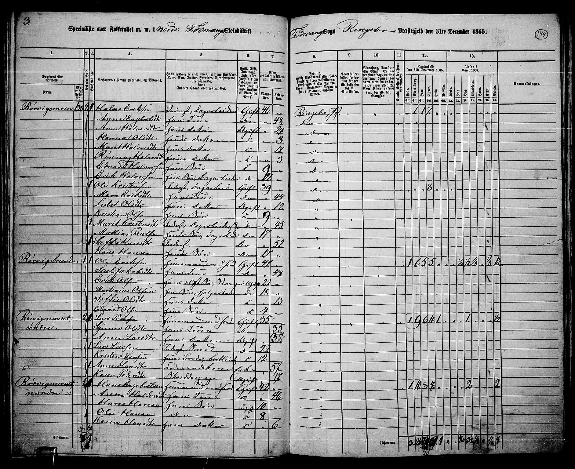 RA, 1865 census for Ringebu, 1865, p. 119