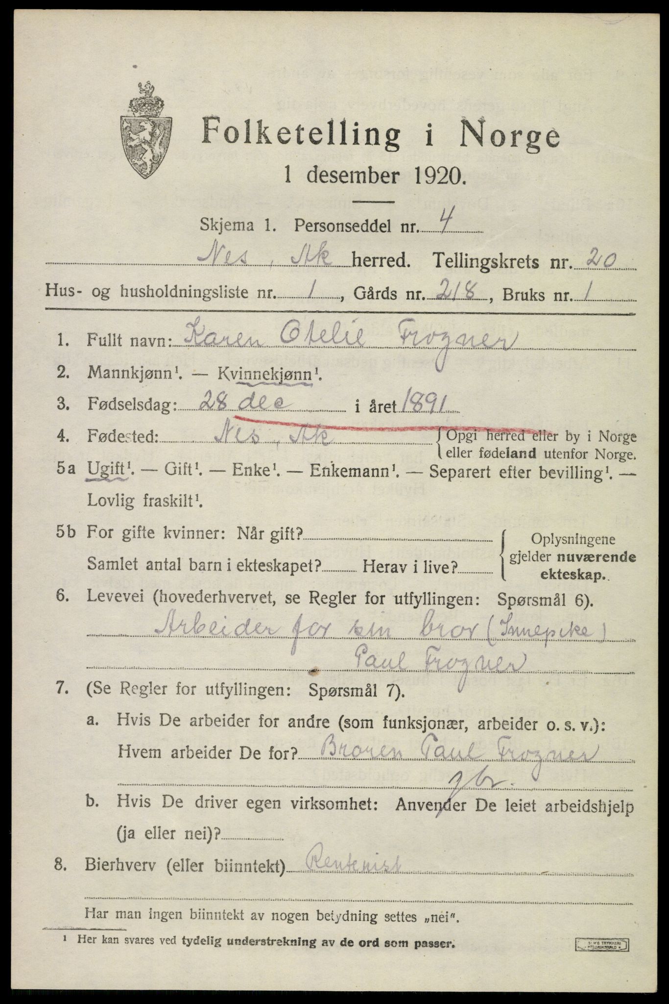 SAO, 1920 census for Nes, 1920, p. 21070