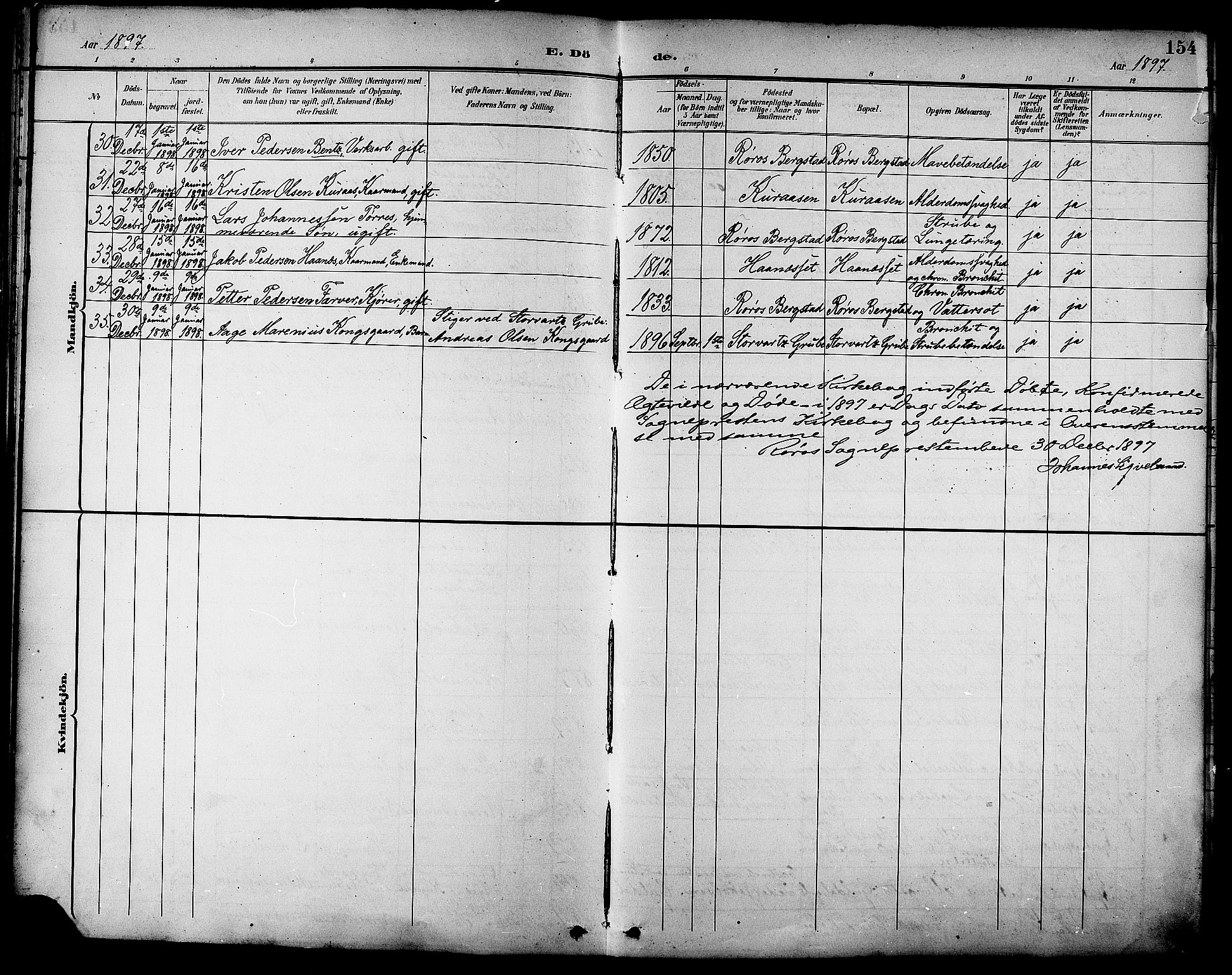 Ministerialprotokoller, klokkerbøker og fødselsregistre - Sør-Trøndelag, SAT/A-1456/681/L0941: Parish register (copy) no. 681C05, 1896-1905, p. 154