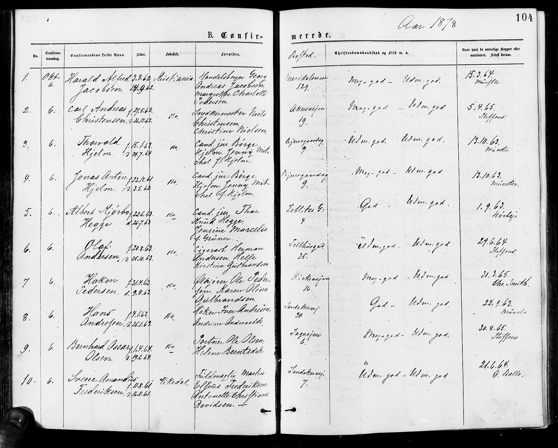 Gamle Aker prestekontor Kirkebøker, AV/SAO-A-10617a/F/L0005: Parish register (official) no. 5, 1873-1881, p. 104