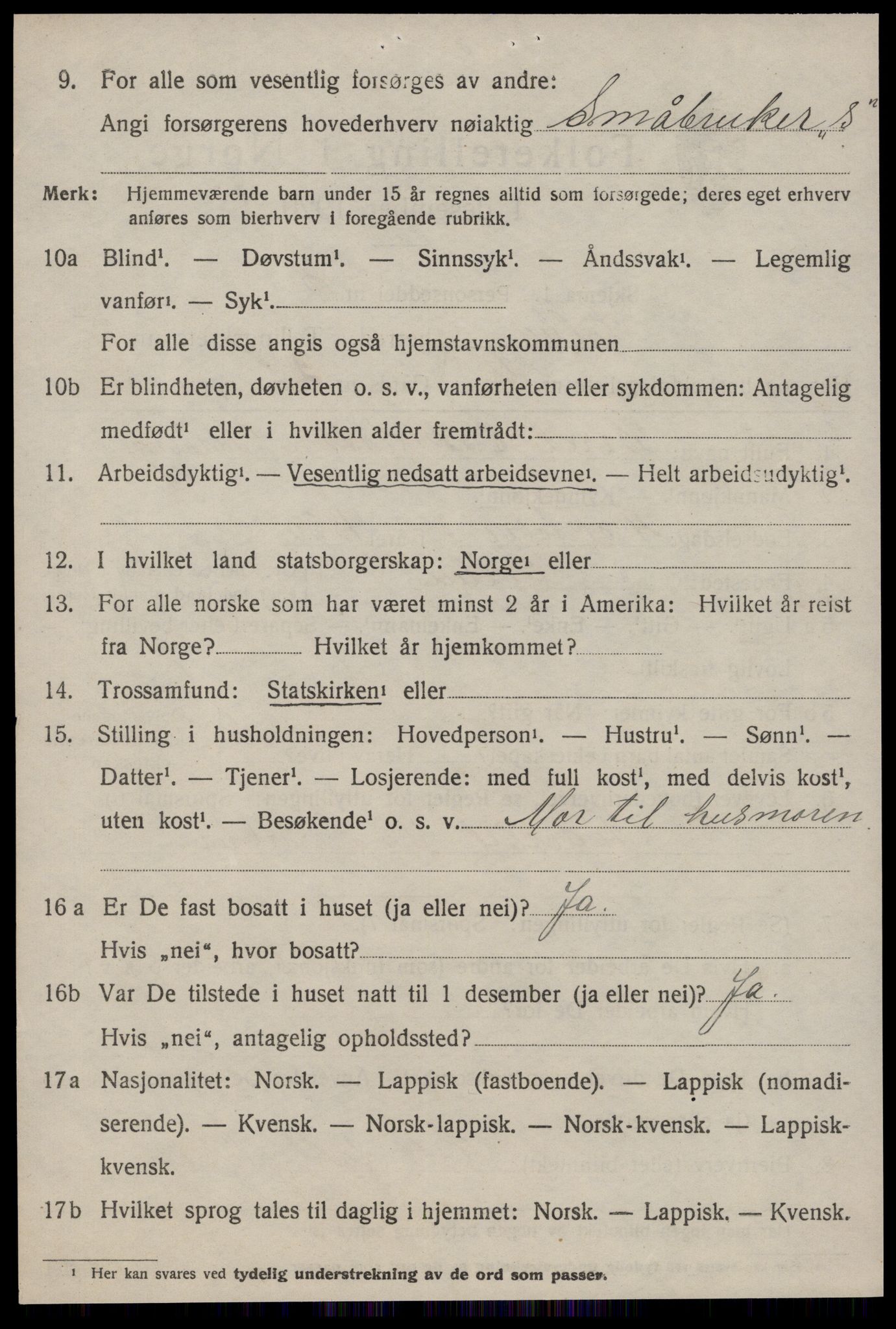 SAT, 1920 census for Selbu, 1920, p. 3481