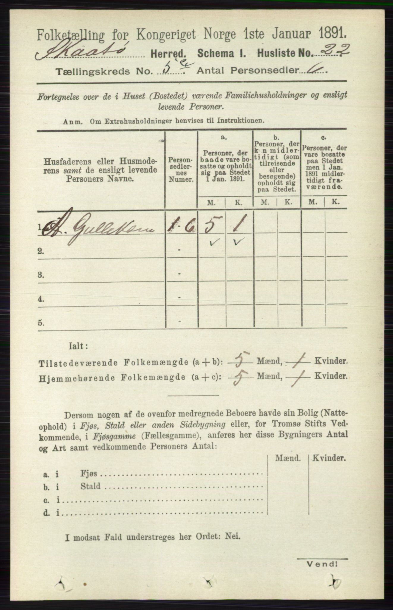 RA, 1891 census for 0815 Skåtøy, 1891, p. 2657