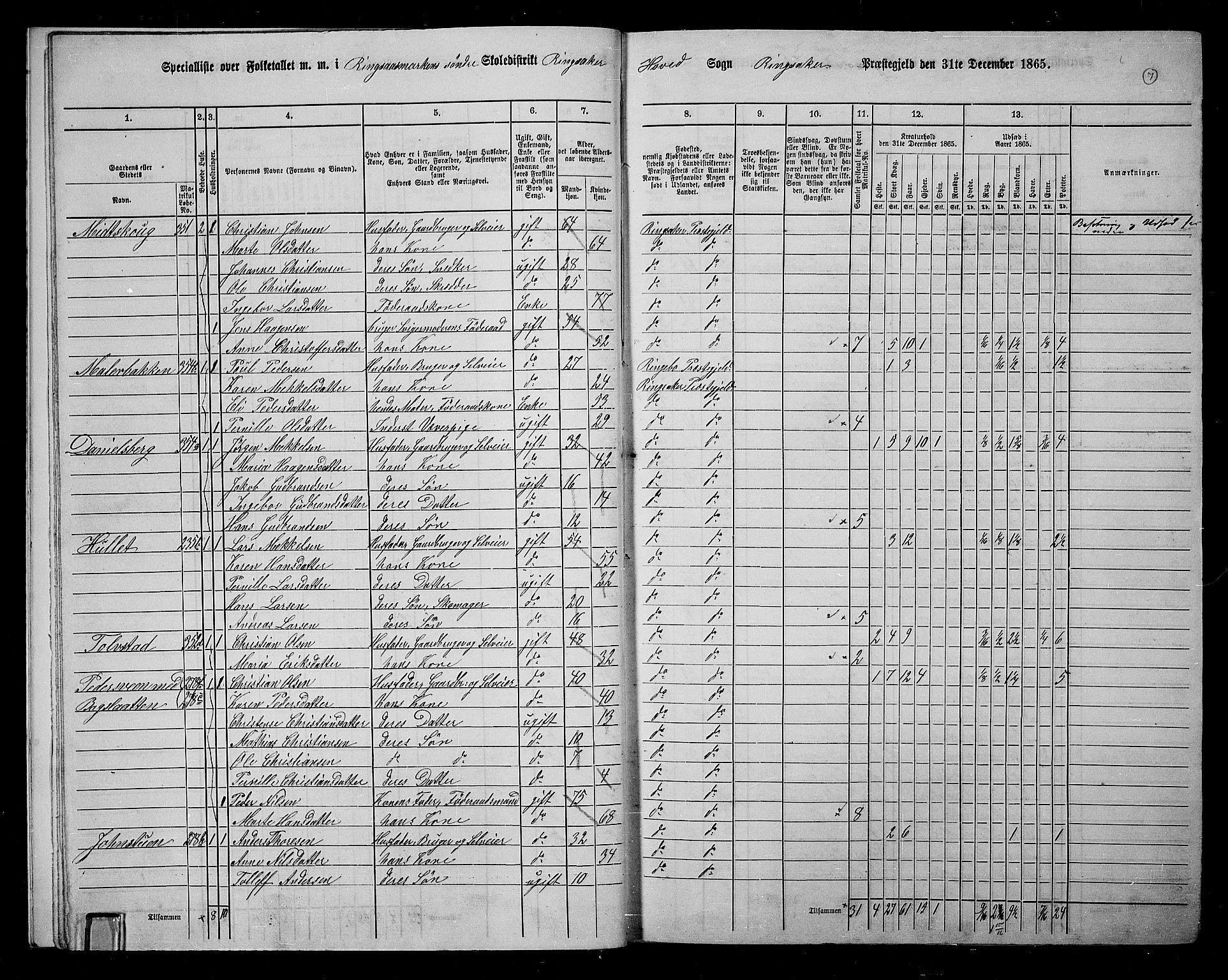 RA, 1865 census for Ringsaker, 1865, p. 271