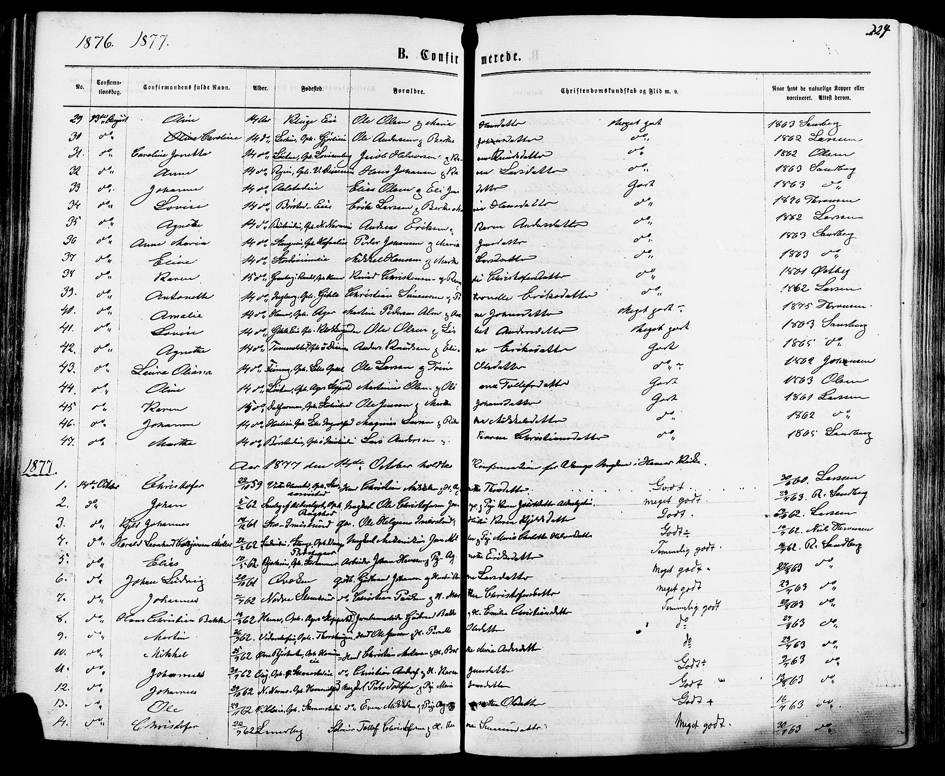 Vang prestekontor, Hedmark, AV/SAH-PREST-008/H/Ha/Haa/L0015: Parish register (official) no. 15, 1871-1885, p. 224