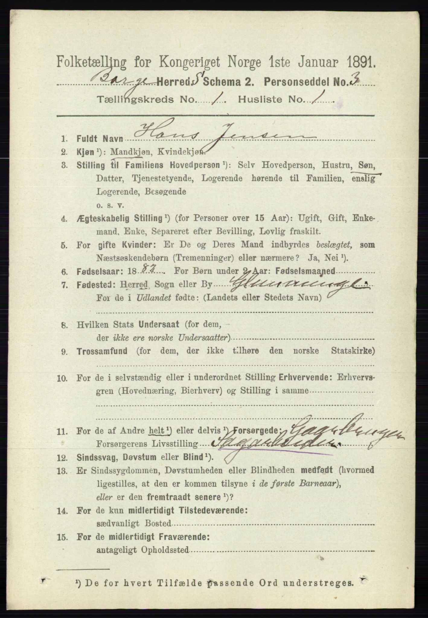 RA, 1891 census for 0113 Borge, 1891, p. 132