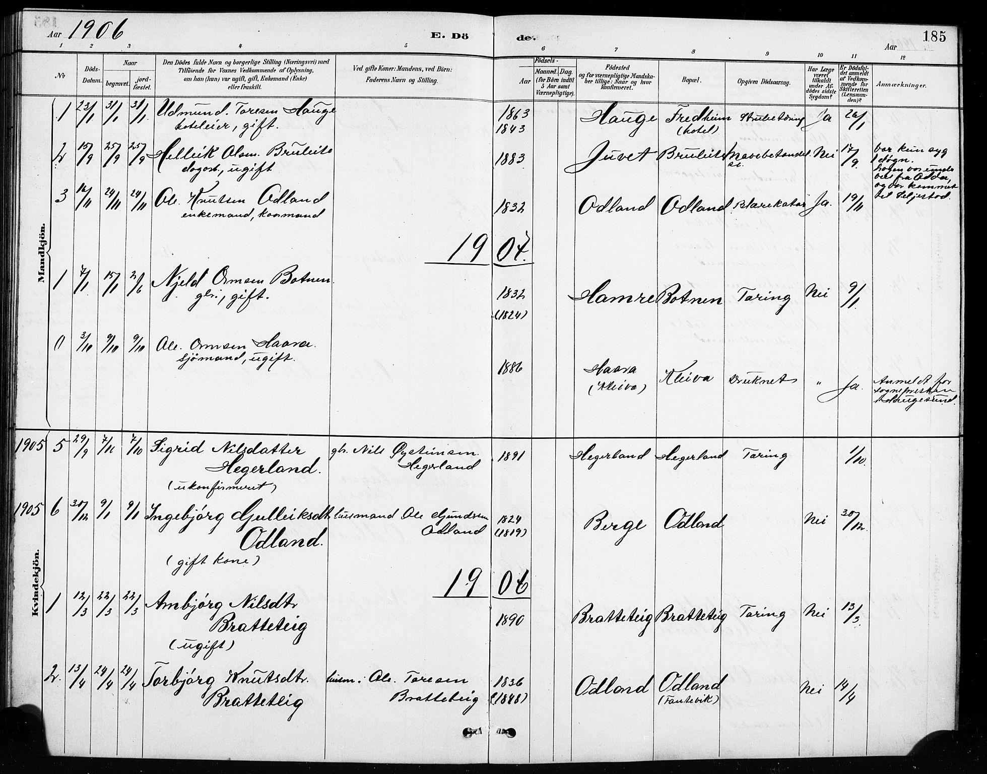Røldal sokneprestembete, SAB/A-100247: Parish register (copy) no. A 3, 1887-1917, p. 185