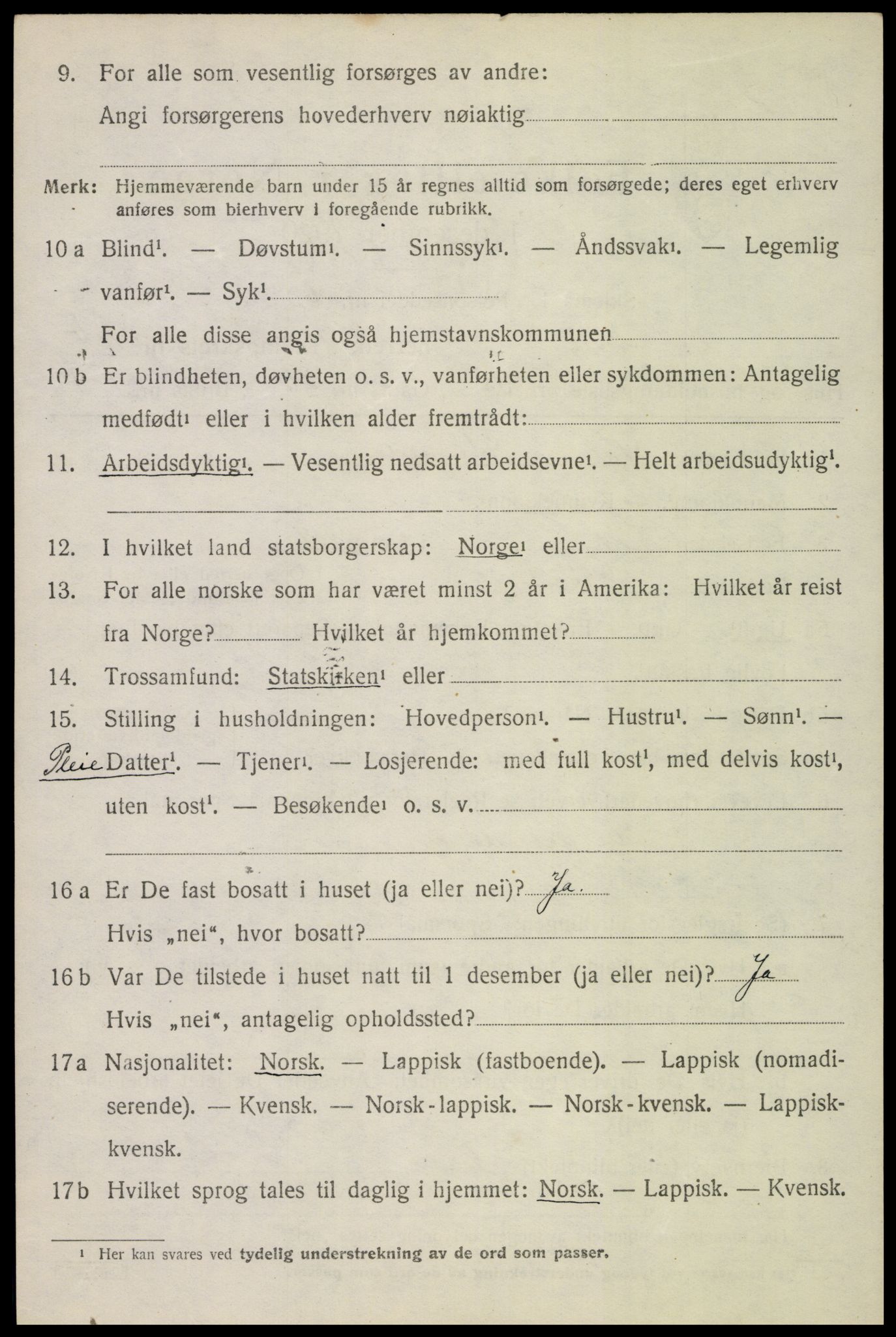 SAT, 1920 census for Bø, 1920, p. 9979