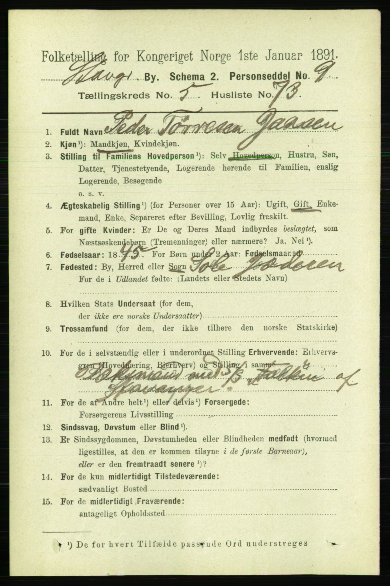 RA, 1891 census for 1103 Stavanger, 1891, p. 9711