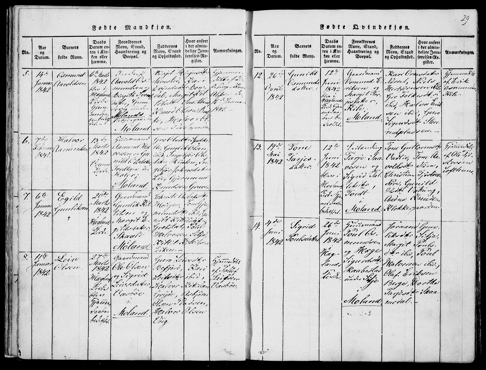 Fyresdal kirkebøker, AV/SAKO-A-263/F/Fa/L0004: Parish register (official) no. I 4, 1815-1854, p. 29