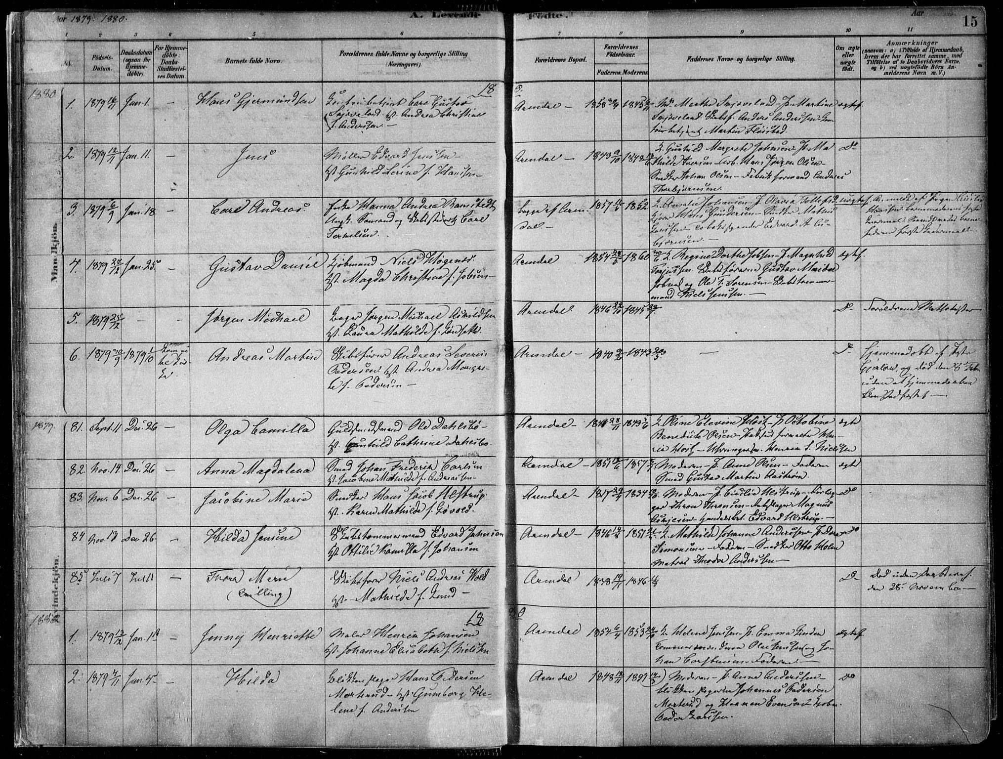 Arendal sokneprestkontor, Trefoldighet, SAK/1111-0040/F/Fa/L0008: Parish register (official) no. A 8, 1878-1899, p. 15