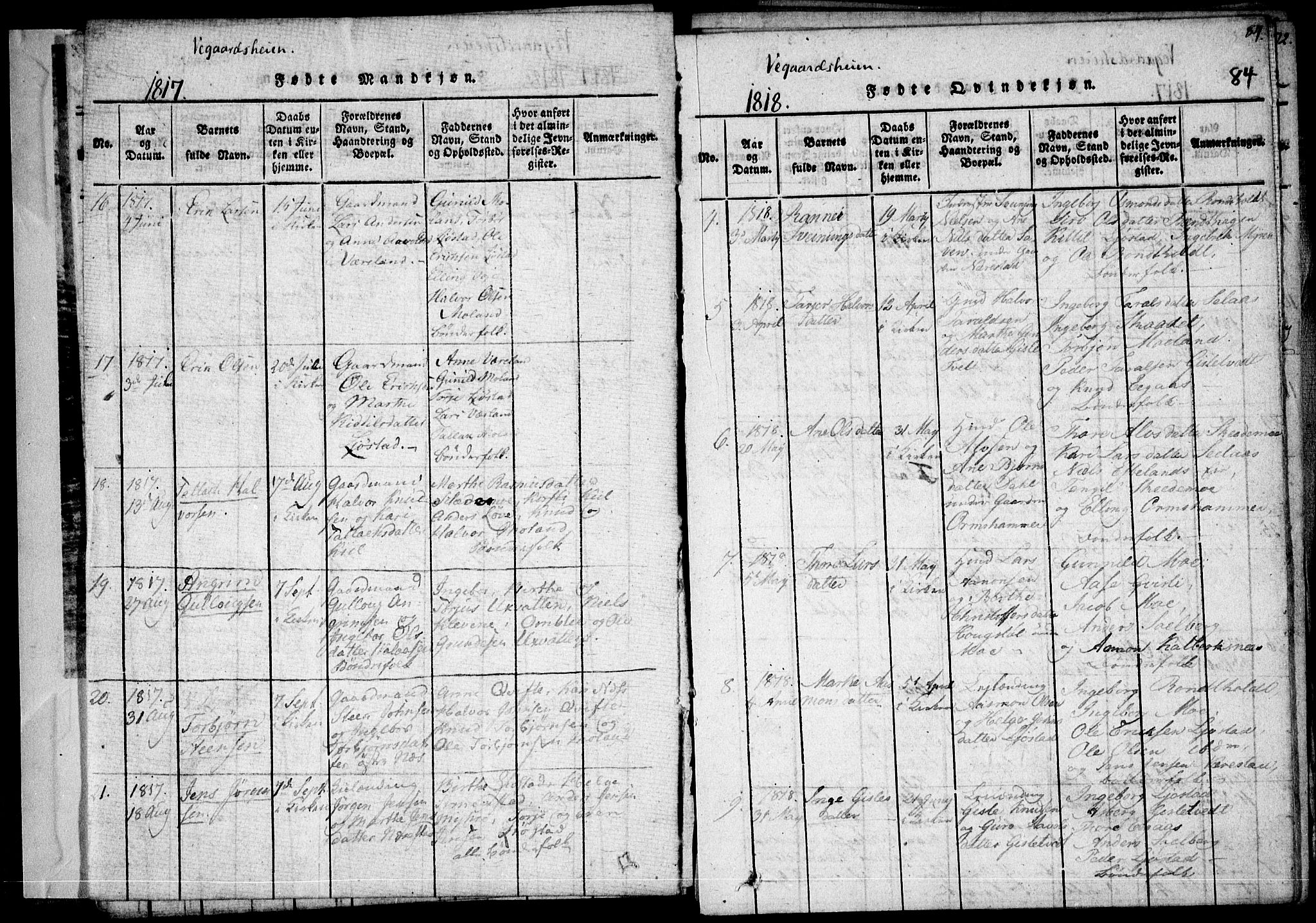 Holt sokneprestkontor, AV/SAK-1111-0021/F/Fa/L0005: Parish register (official) no. A 5, 1813-1821, p. 84