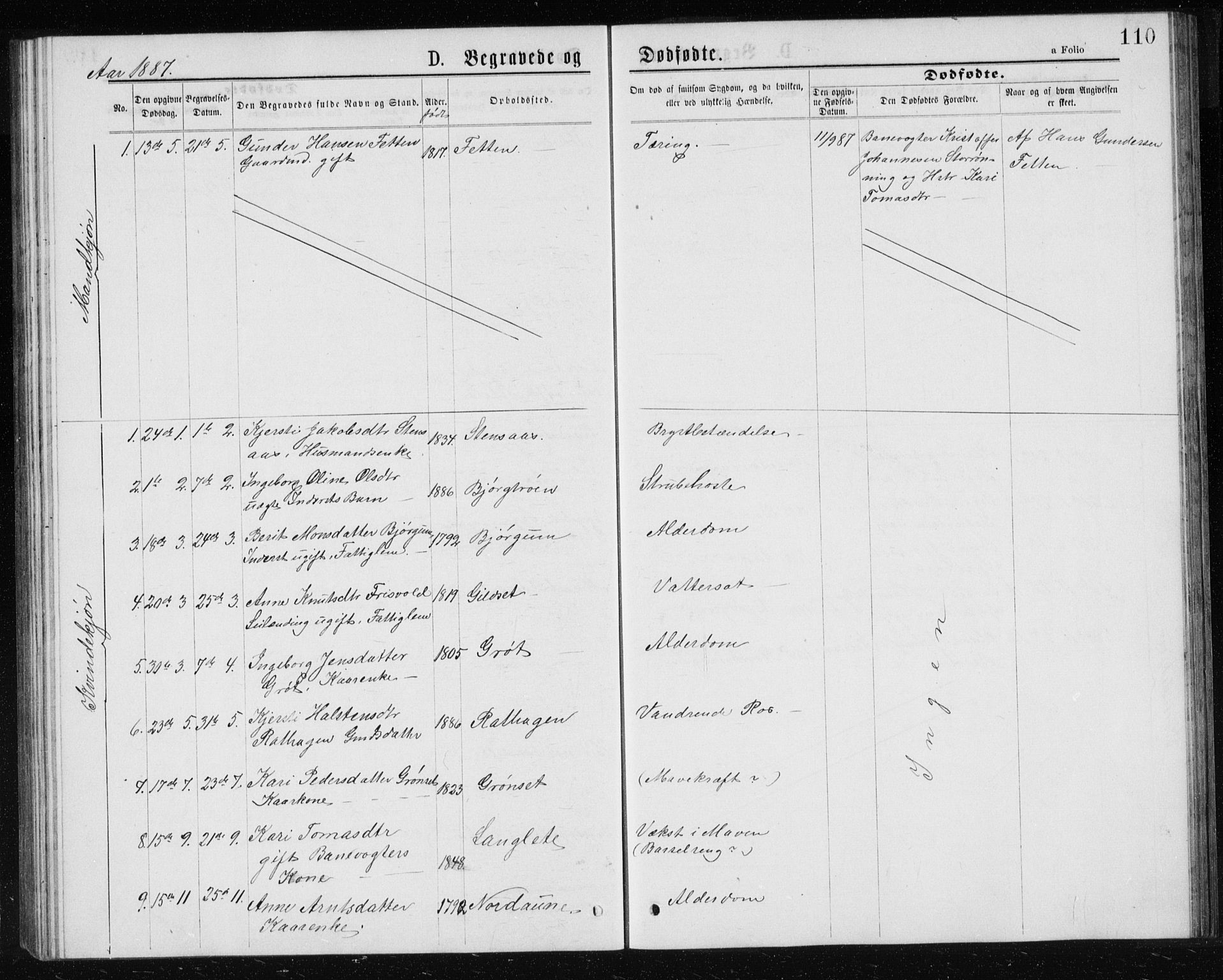 Ministerialprotokoller, klokkerbøker og fødselsregistre - Sør-Trøndelag, SAT/A-1456/685/L0977: Parish register (copy) no. 685C02, 1879-1890, p. 110