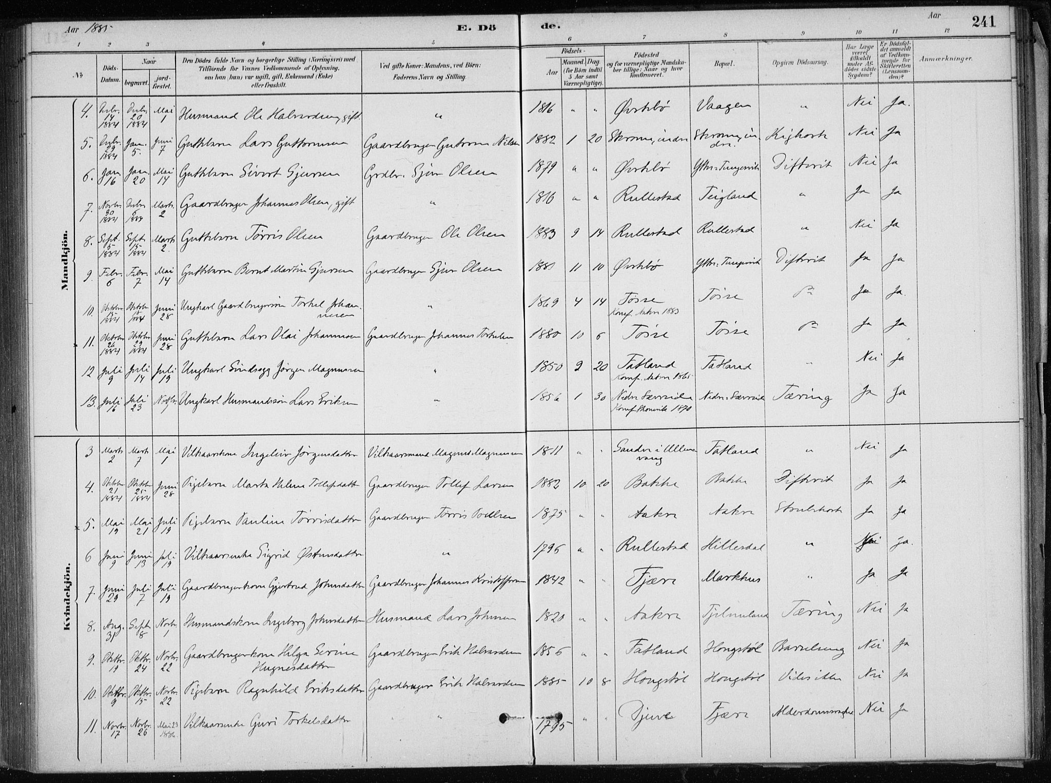 Skånevik sokneprestembete, SAB/A-77801/H/Haa: Parish register (official) no. E  1, 1879-1901, p. 241