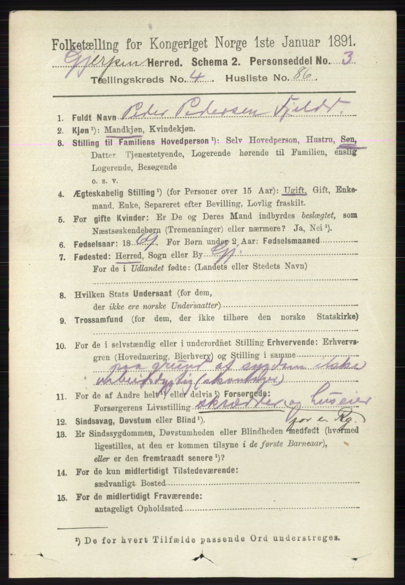 RA, 1891 census for 0812 Gjerpen, 1891, p. 2420