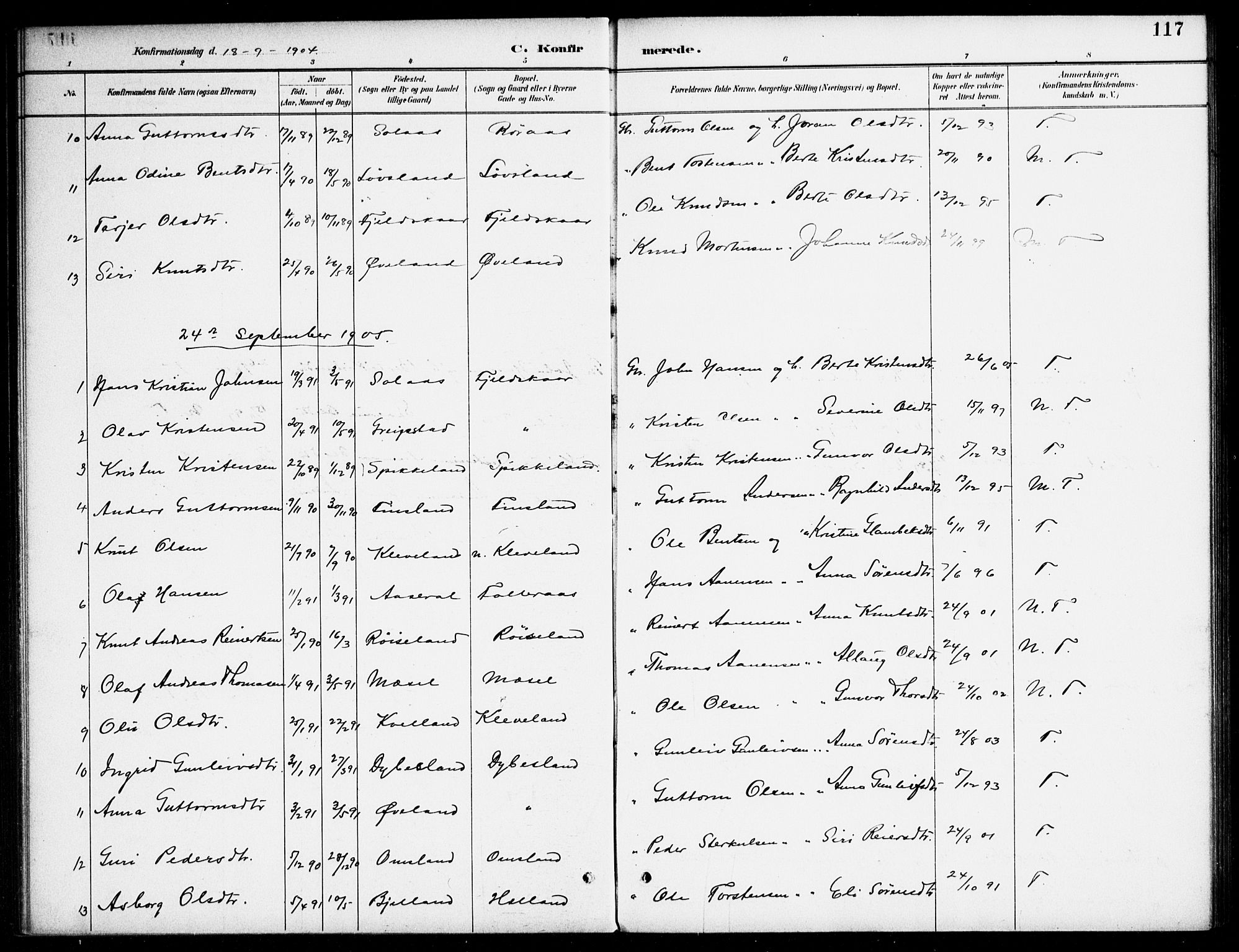 Bjelland sokneprestkontor, SAK/1111-0005/F/Fa/Fab/L0004: Parish register (official) no. A 4, 1887-1920, p. 117