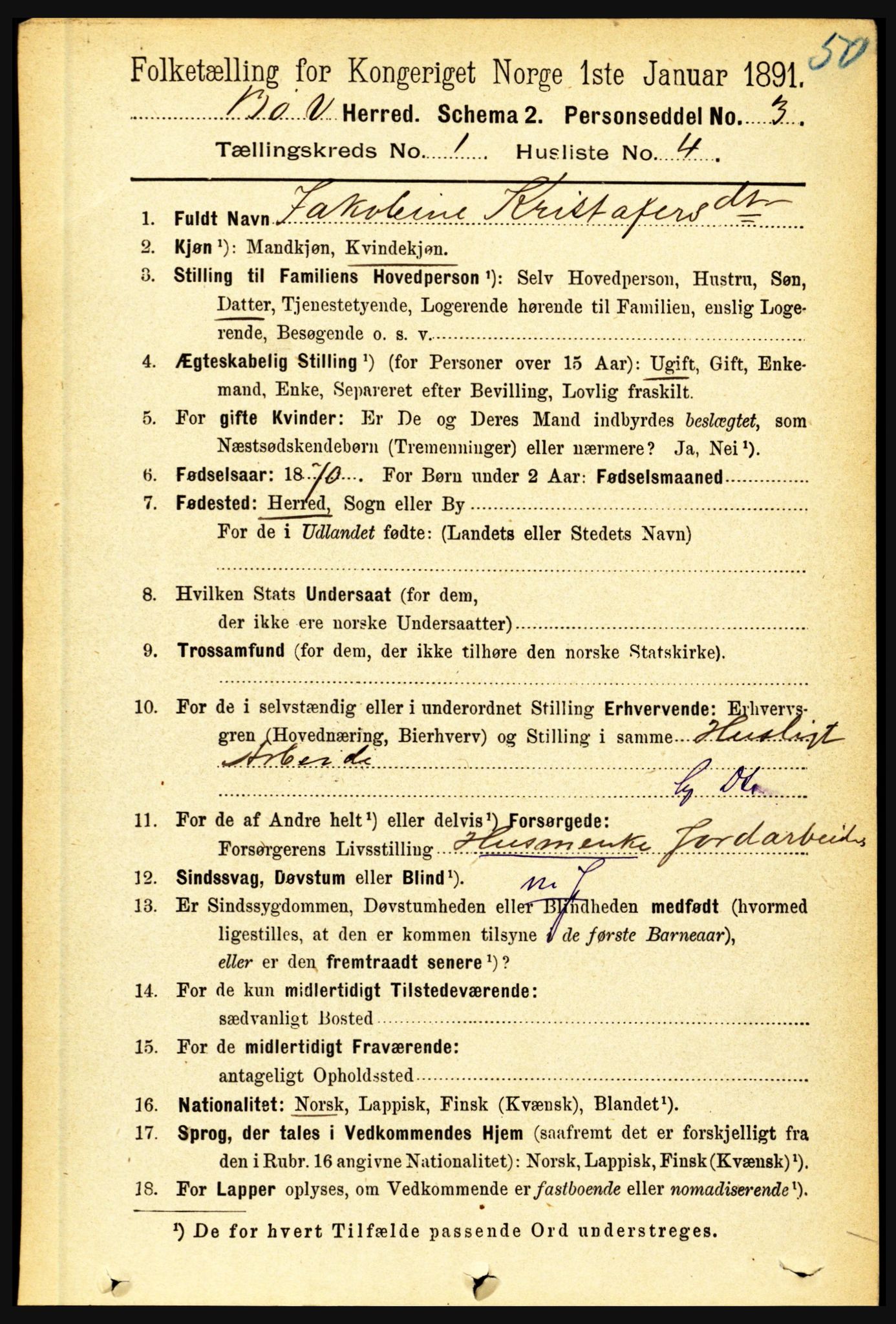 RA, 1891 census for 1867 Bø, 1891, p. 118