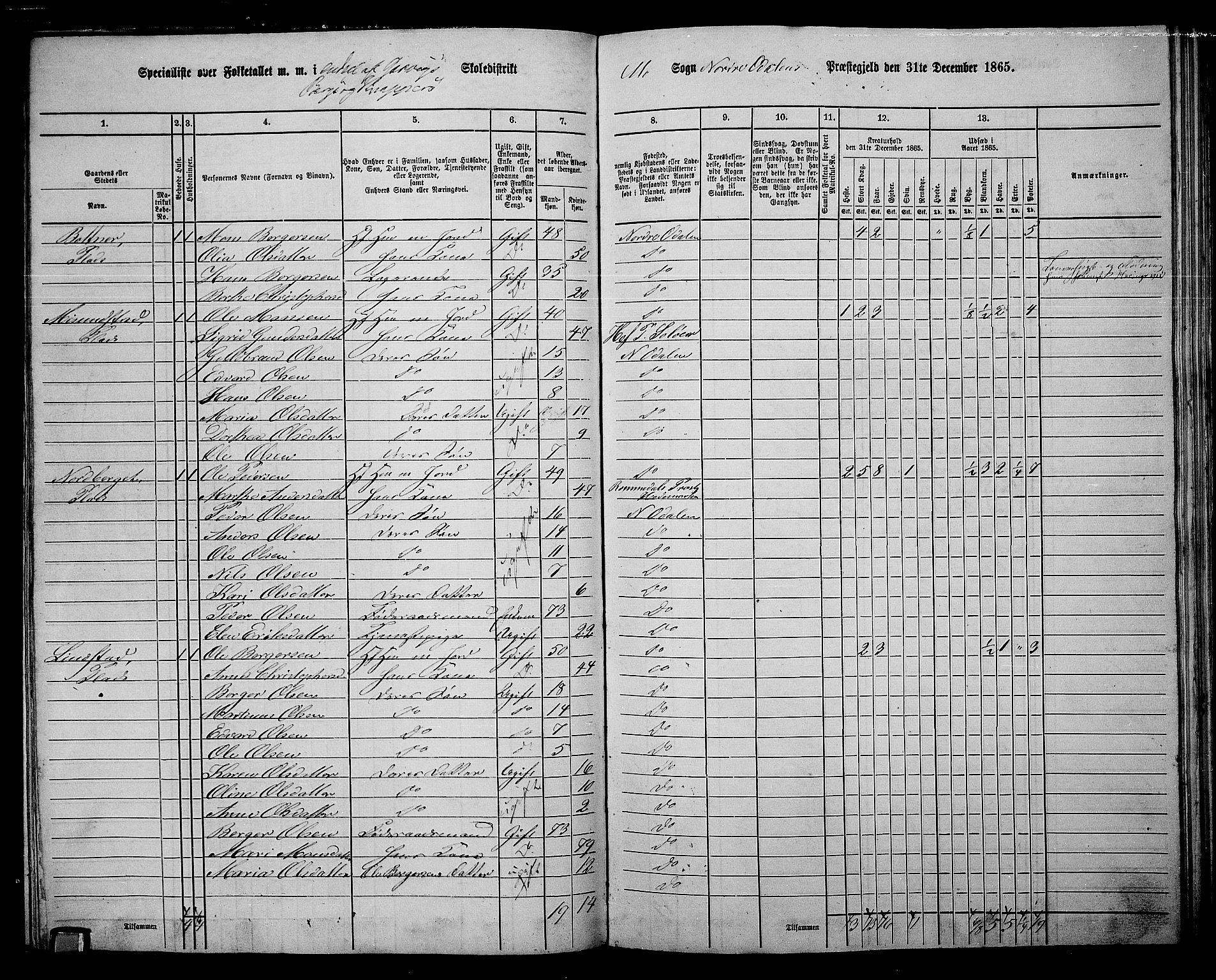 RA, 1865 census for Nord-Odal, 1865, p. 111