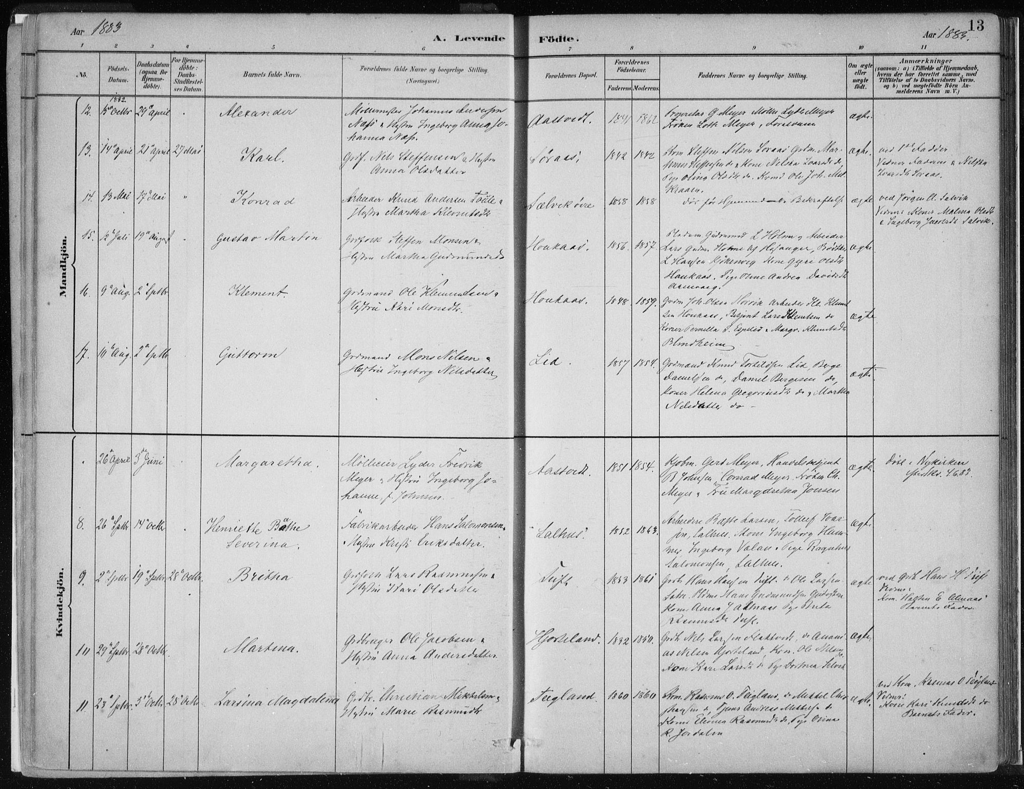 Hamre sokneprestembete, SAB/A-75501/H/Ha/Haa/Haad/L0001: Parish register (official) no. D  1, 1882-1906, p. 13