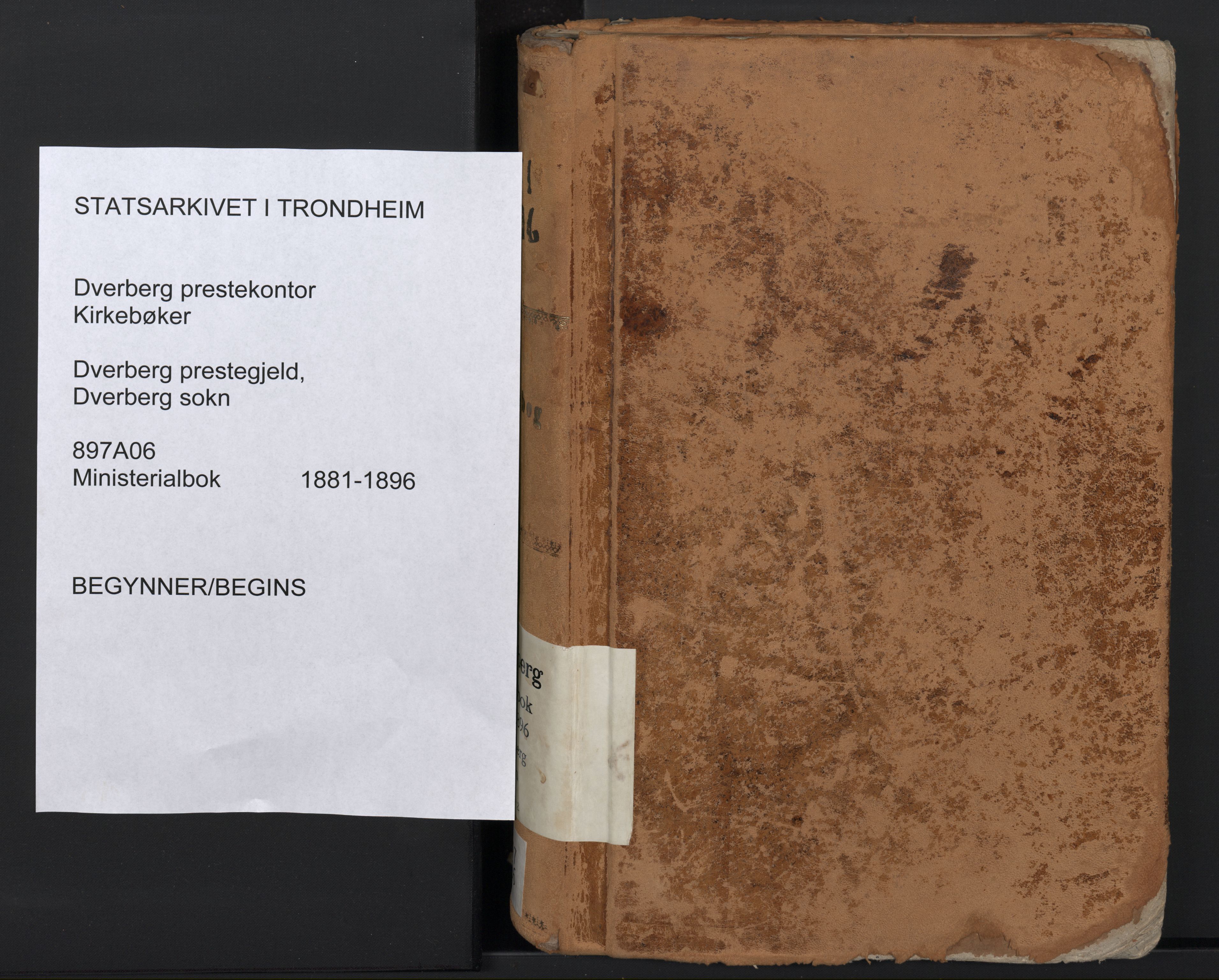 Ministerialprotokoller, klokkerbøker og fødselsregistre - Nordland, AV/SAT-A-1459/897/L1399: Parish register (official) no. 897A06, 1881-1896