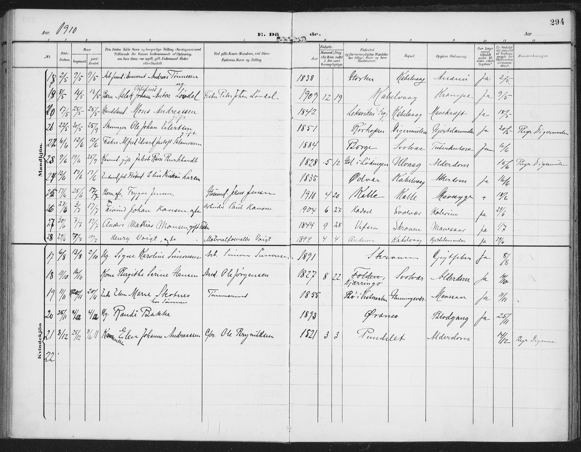 Ministerialprotokoller, klokkerbøker og fødselsregistre - Nordland, AV/SAT-A-1459/874/L1063: Parish register (official) no. 874A07, 1907-1915, p. 294