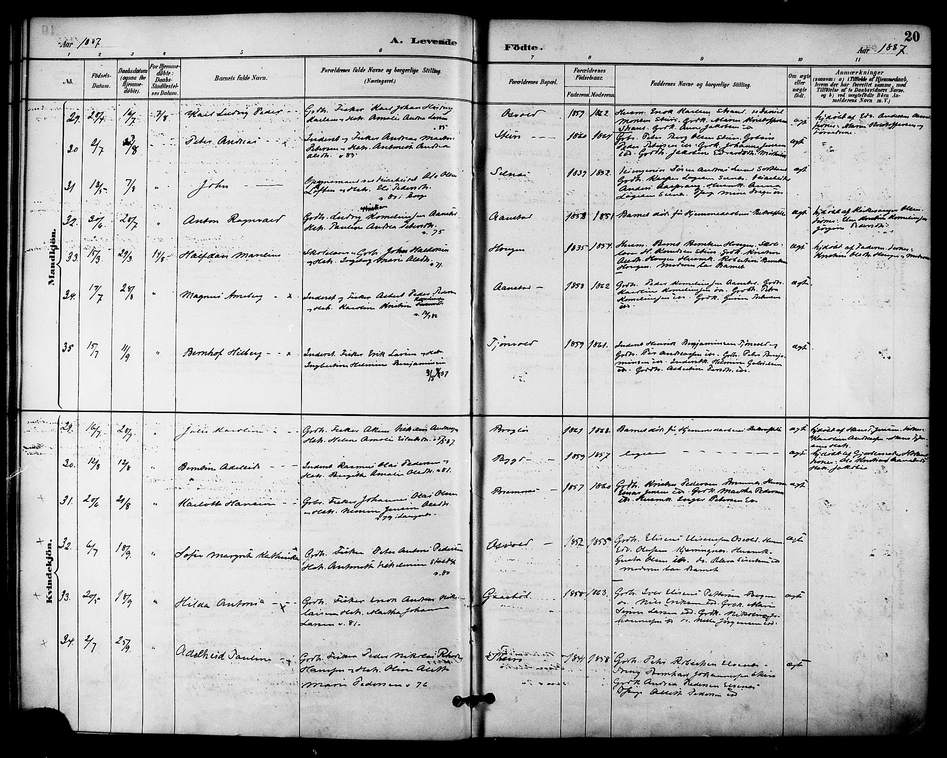 Ministerialprotokoller, klokkerbøker og fødselsregistre - Nordland, AV/SAT-A-1459/895/L1371: Parish register (official) no. 895A06, 1885-1894, p. 20