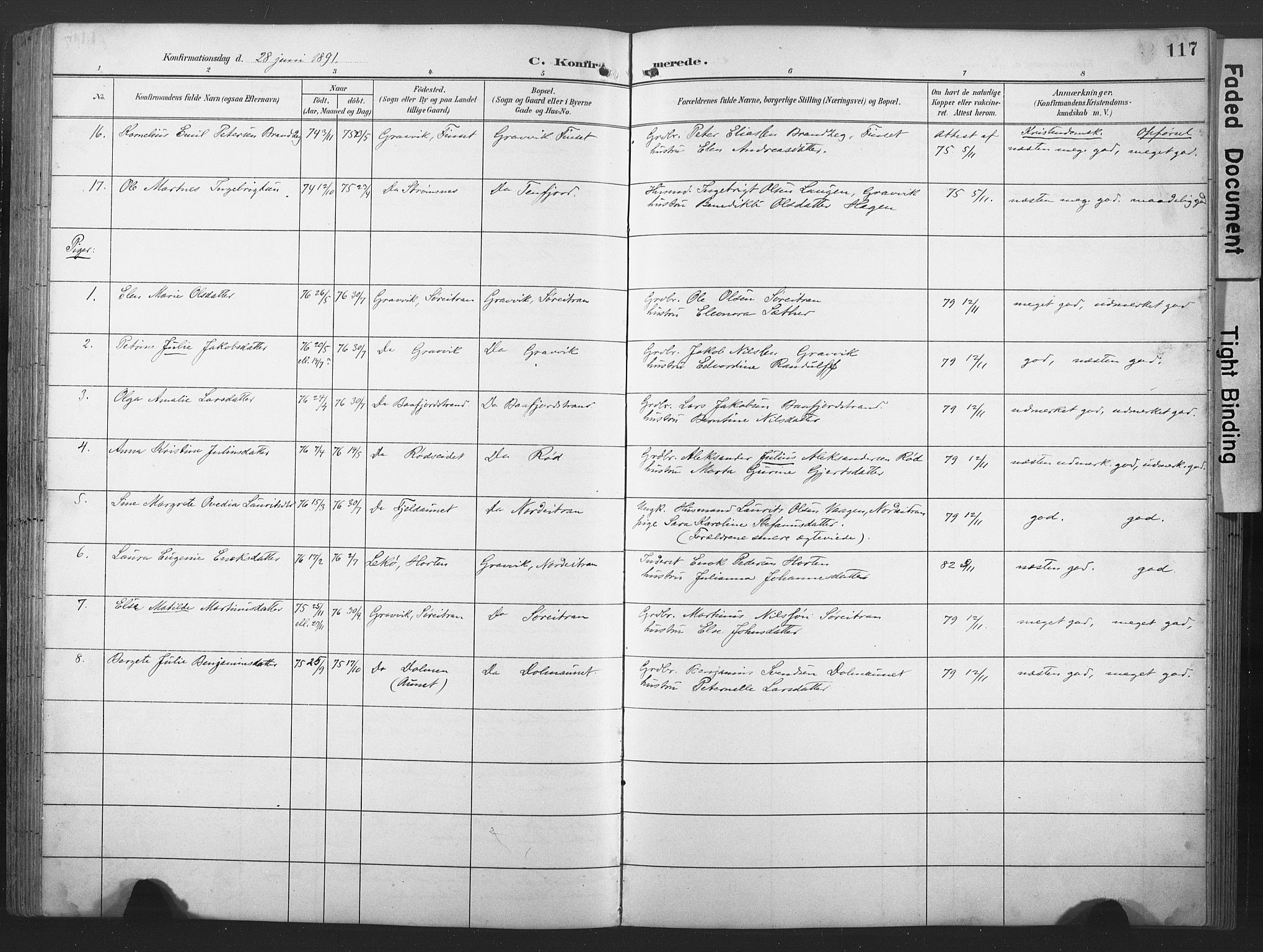 Ministerialprotokoller, klokkerbøker og fødselsregistre - Nord-Trøndelag, SAT/A-1458/789/L0706: Parish register (copy) no. 789C01, 1888-1931, p. 117