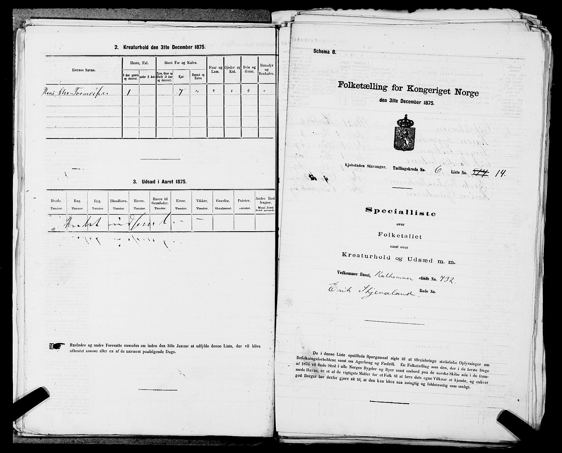 SAST, 1875 census for 1103 Stavanger, 1875, p. 961