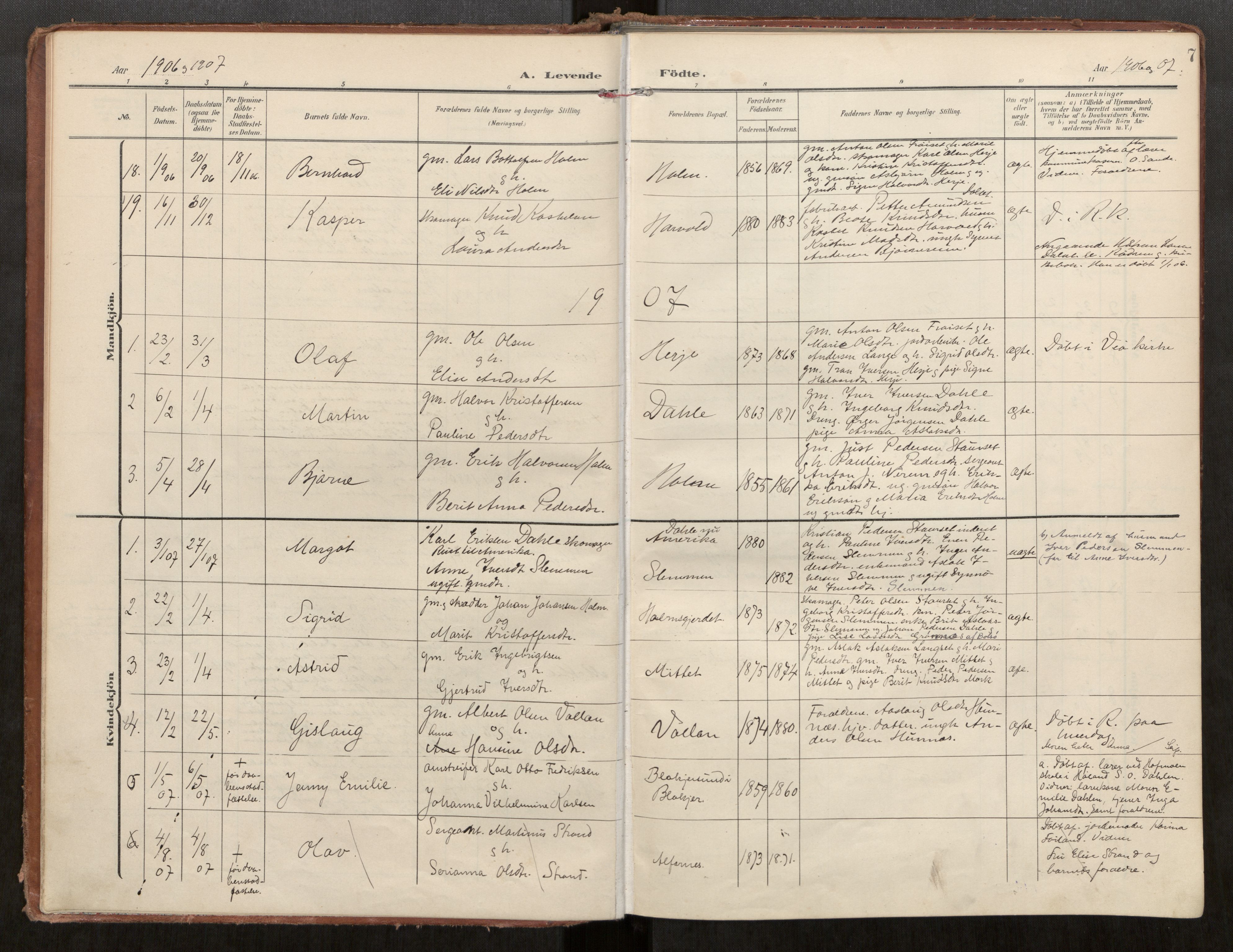 Ministerialprotokoller, klokkerbøker og fødselsregistre - Møre og Romsdal, AV/SAT-A-1454/549/L0618: Parish register (official) no. 549A01, 1906-1927, p. 7