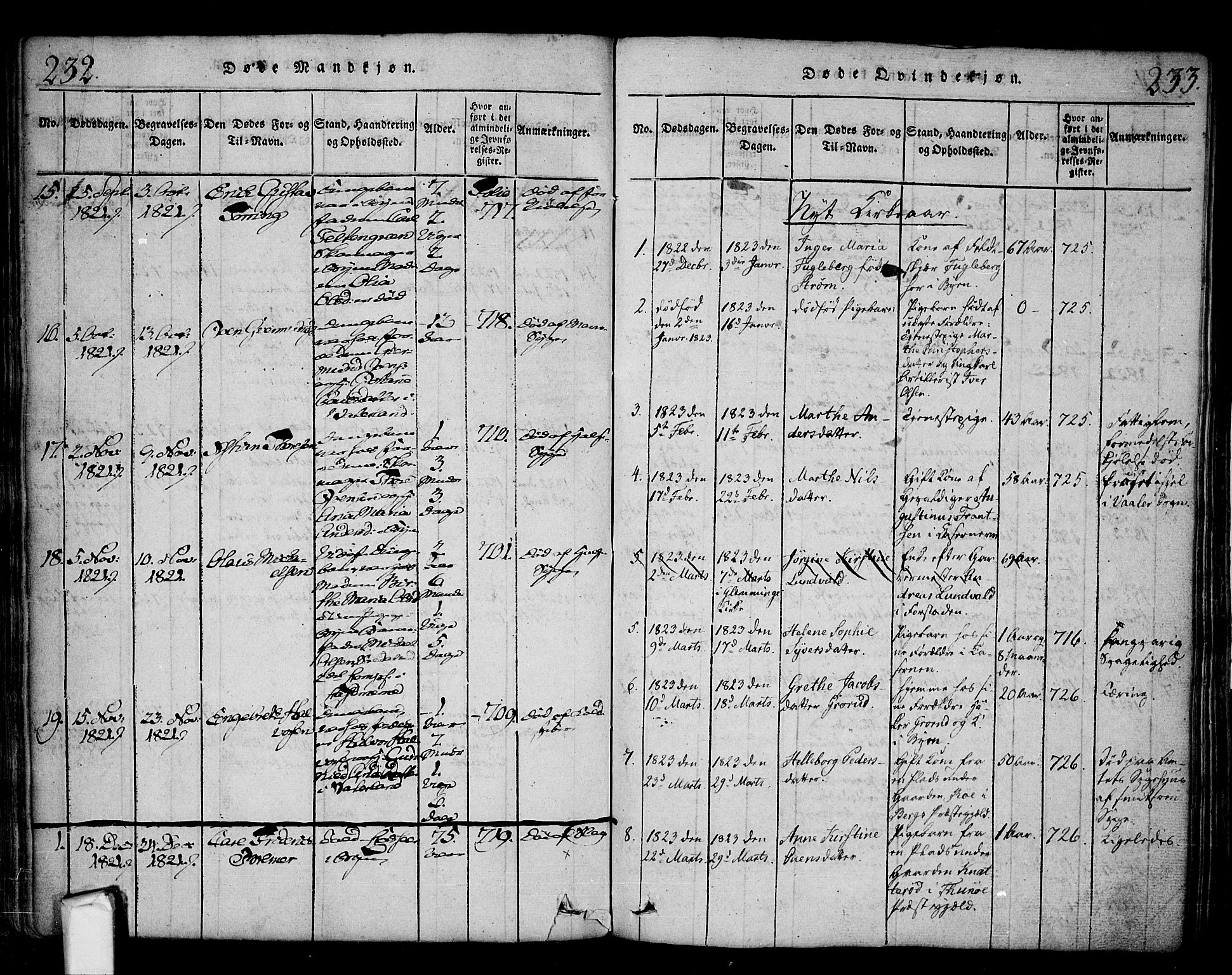 Fredrikstad prestekontor Kirkebøker, SAO/A-11082/F/Fa/L0004: Parish register (official) no. 4, 1816-1834, p. 232-233