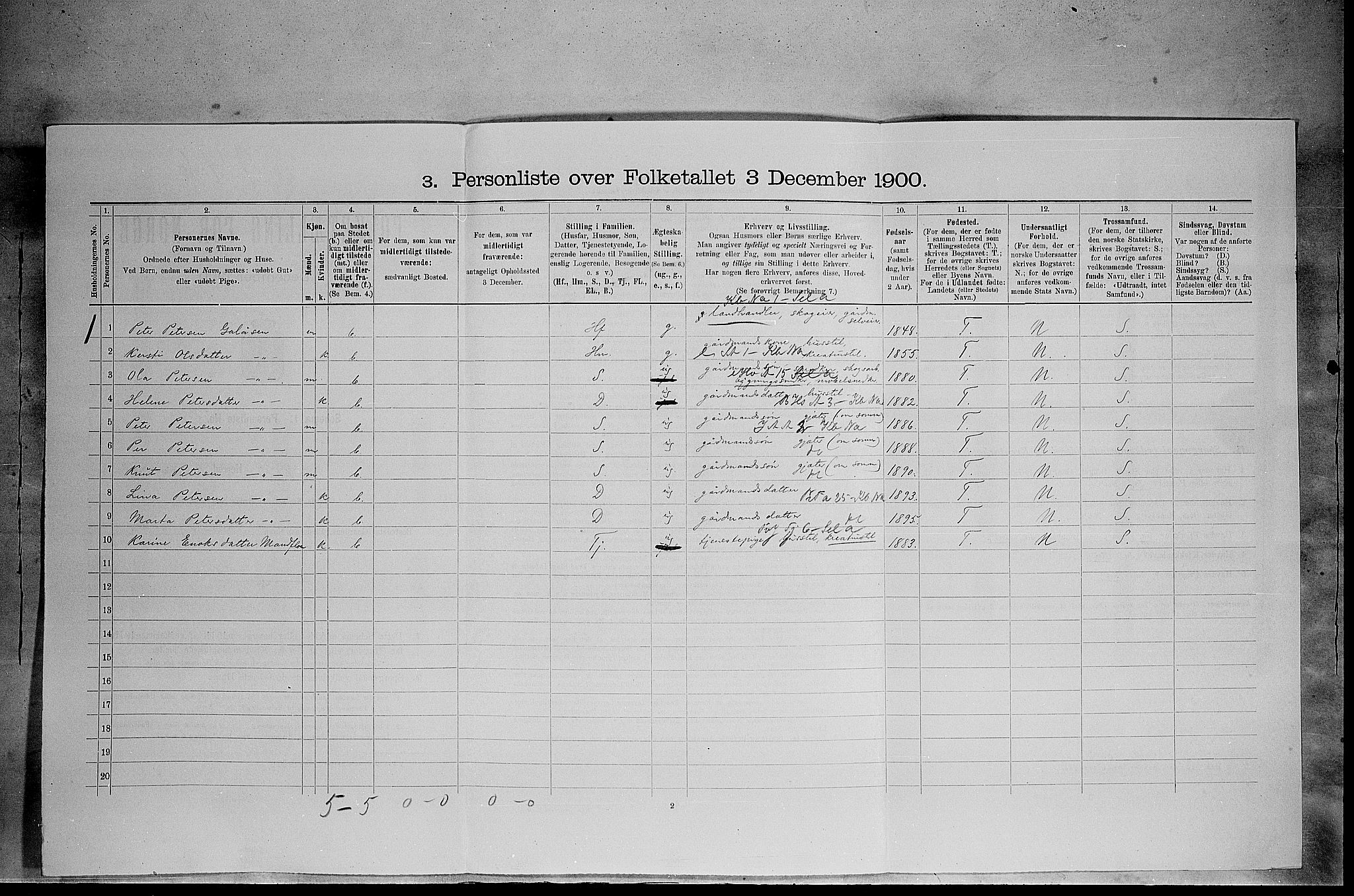 SAH, 1900 census for Trysil, 1900, p. 314