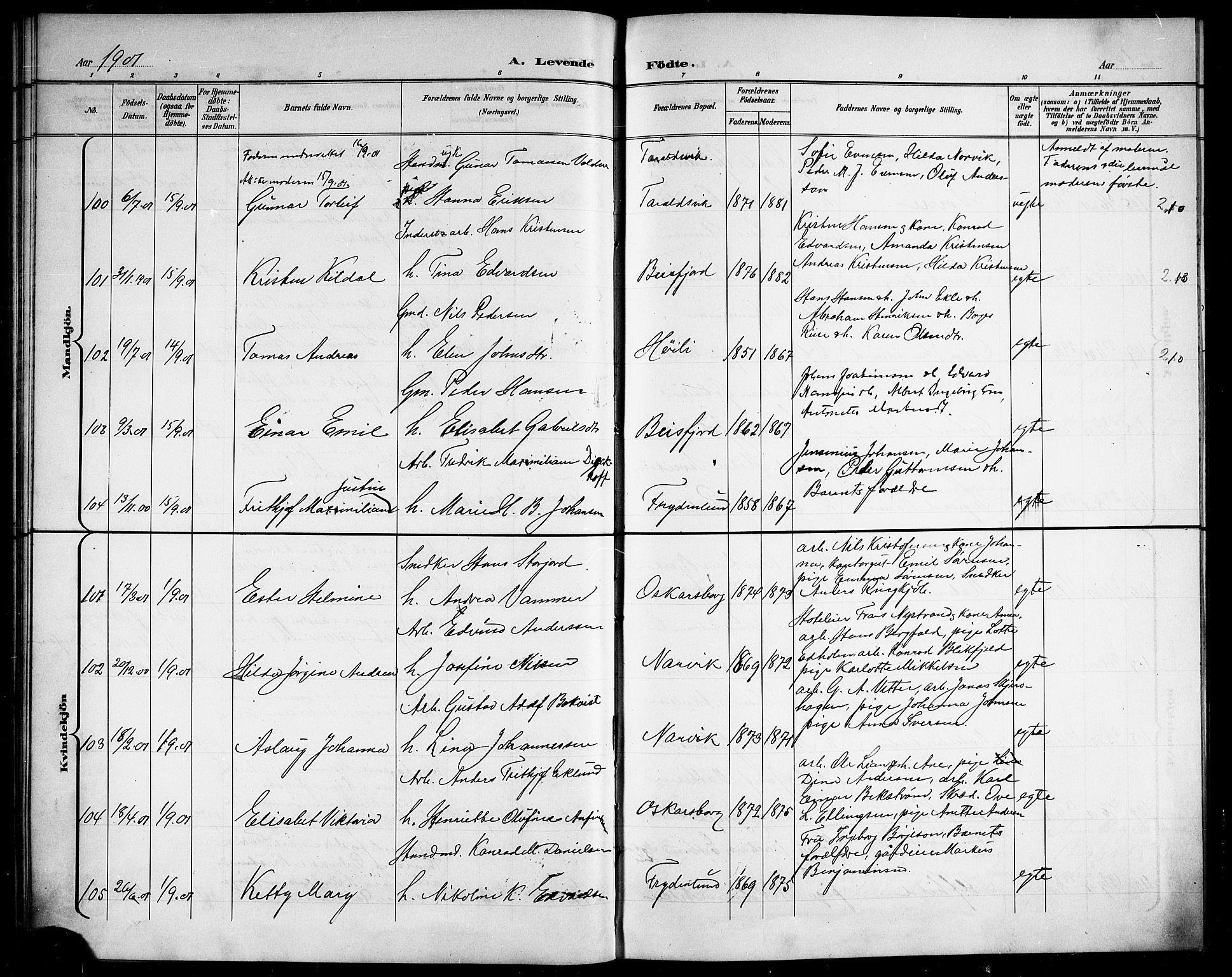 Ministerialprotokoller, klokkerbøker og fødselsregistre - Nordland, AV/SAT-A-1459/866/L0953: Parish register (copy) no. 866C02, 1900-1905