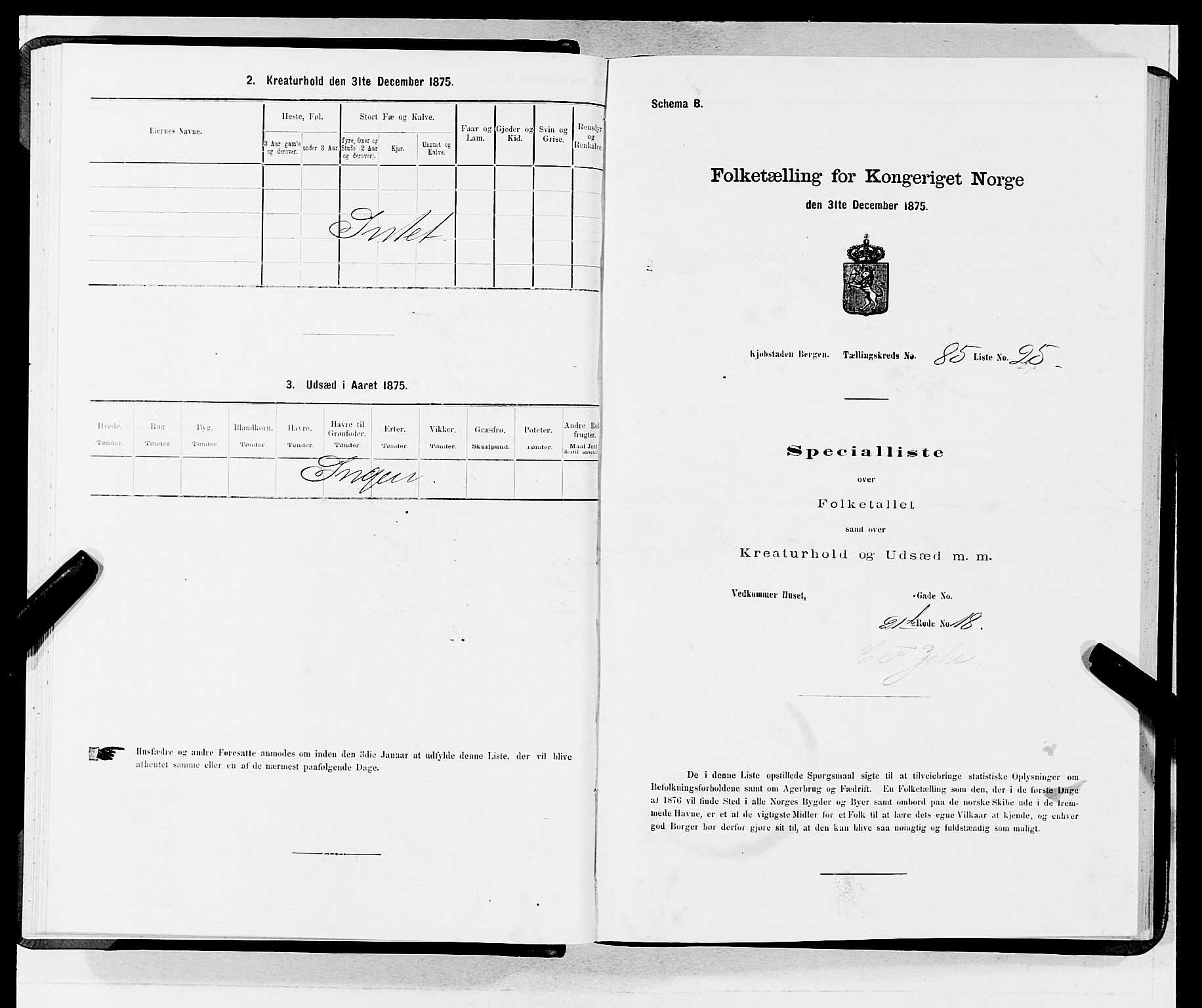 SAB, 1875 census for 1301 Bergen, 1875, p. 4611