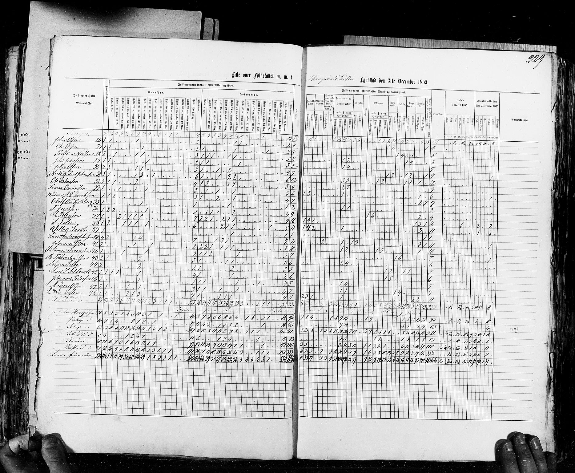 RA, Census 1855, vol. 8: Risør-Vadsø, 1855, p. 229