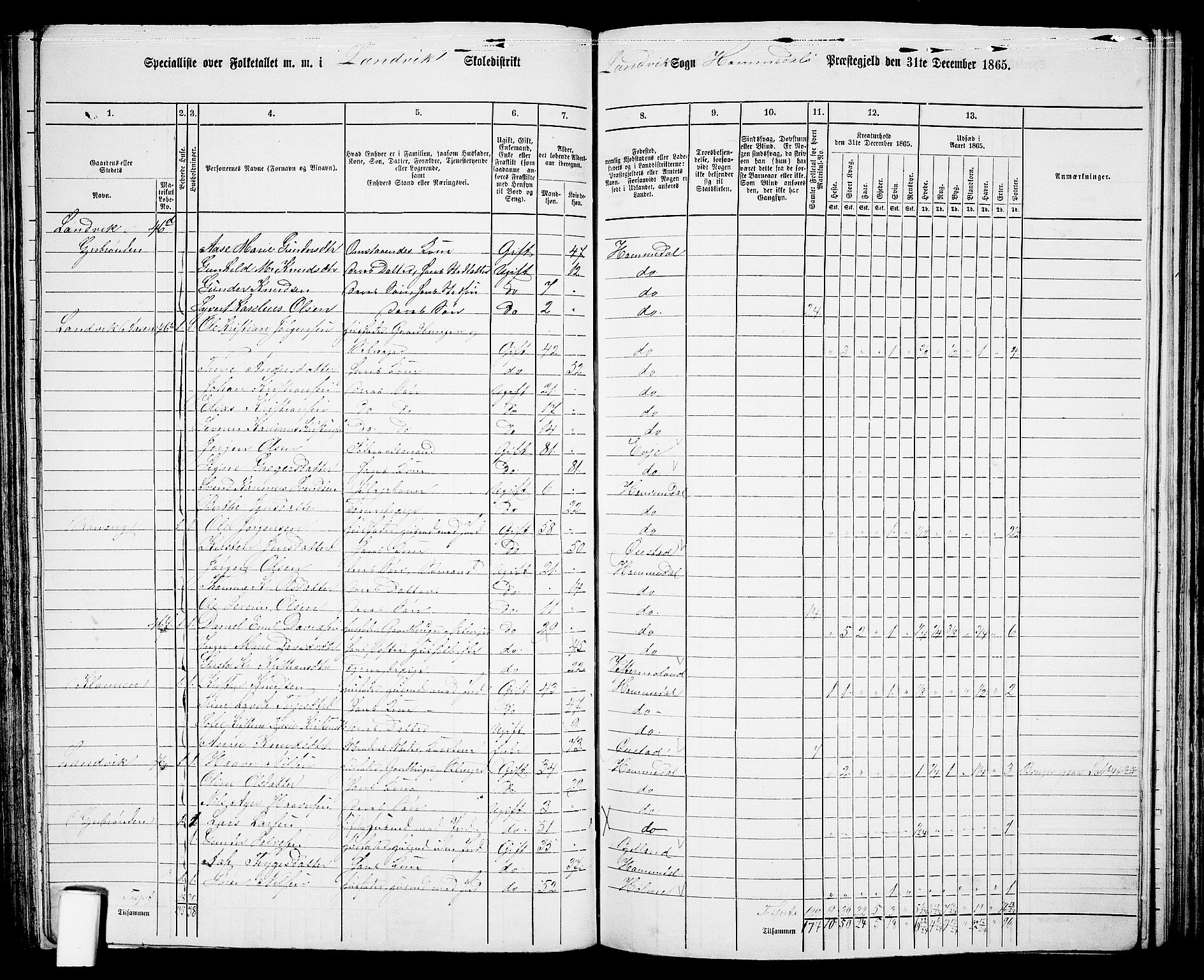 RA, 1865 census for Homedal, 1865, p. 80