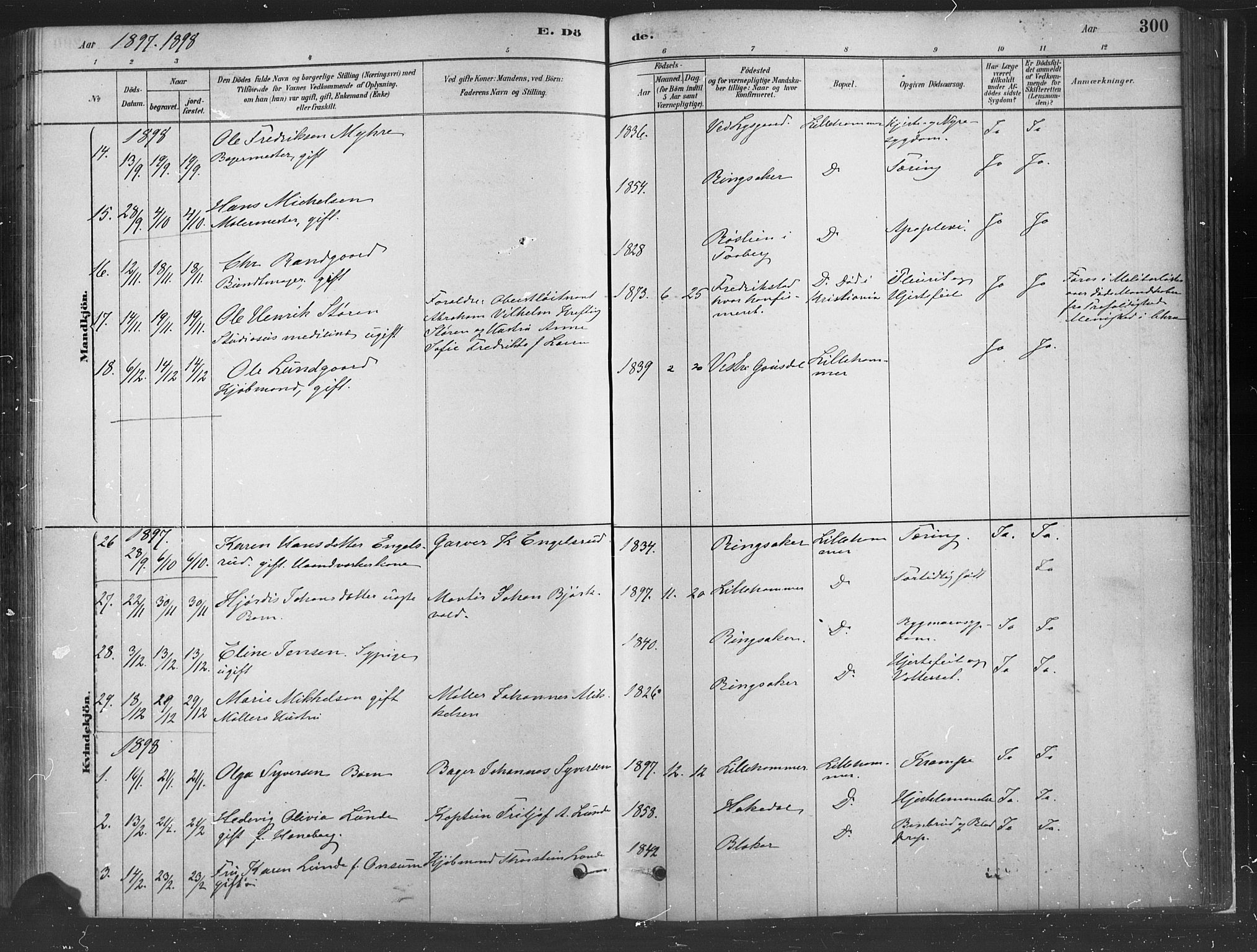 Fåberg prestekontor, SAH/PREST-086/H/Ha/Haa/L0010: Parish register (official) no. 10, 1879-1900, p. 300