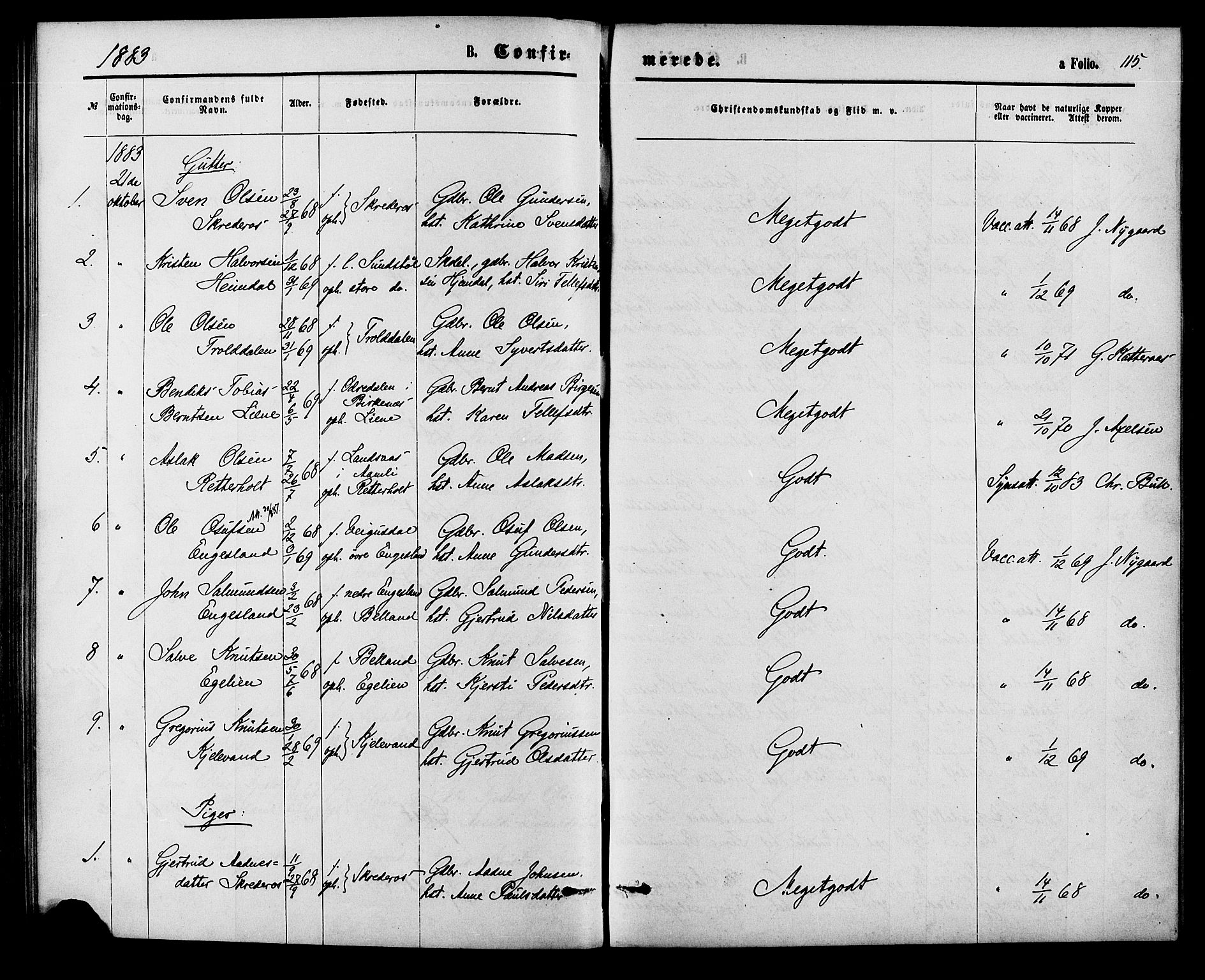 Herefoss sokneprestkontor, SAK/1111-0019/F/Fa/Fab/L0003: Parish register (official) no. A 3, 1875-1886, p. 115