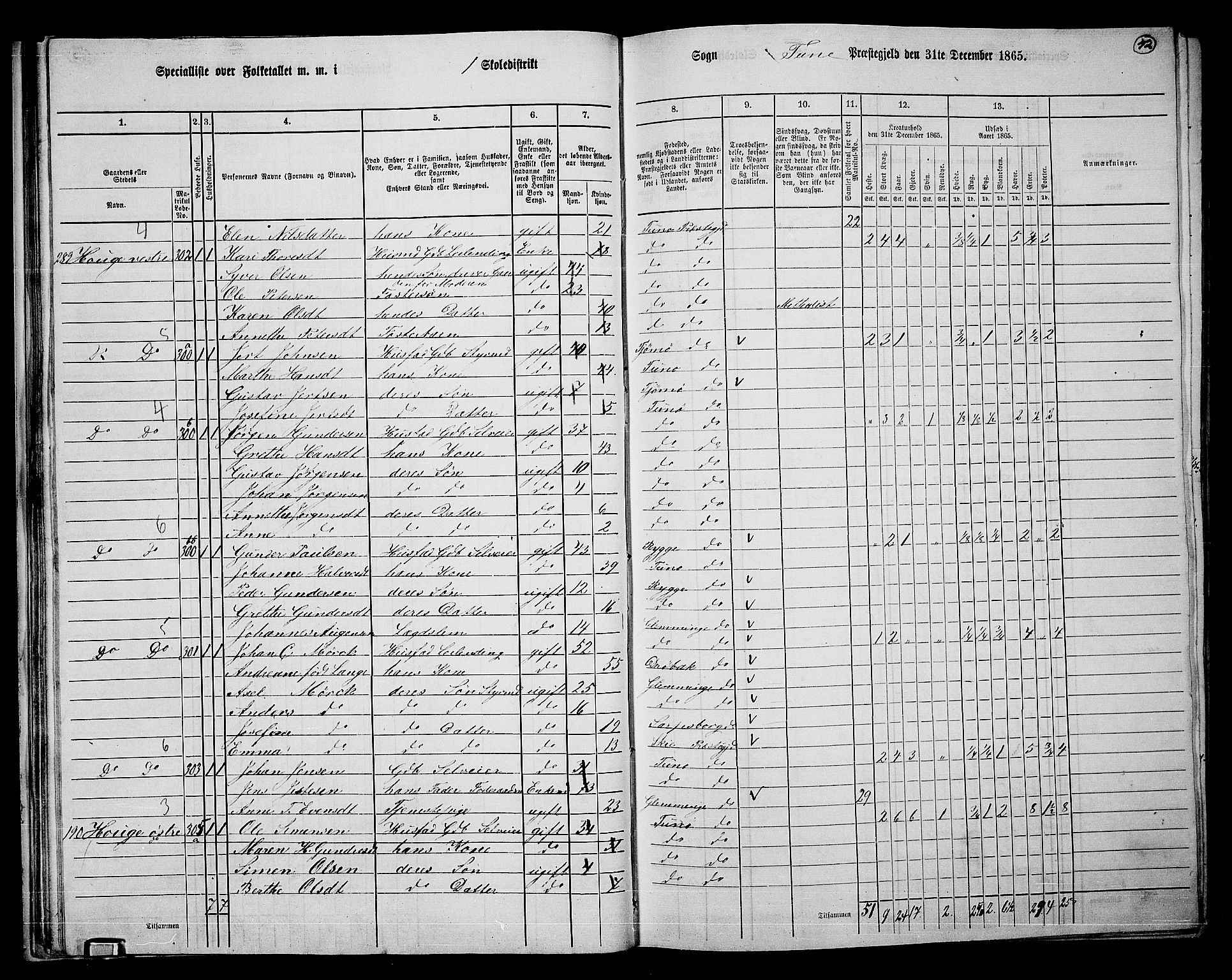 RA, 1865 census for Tune, 1865, p. 39