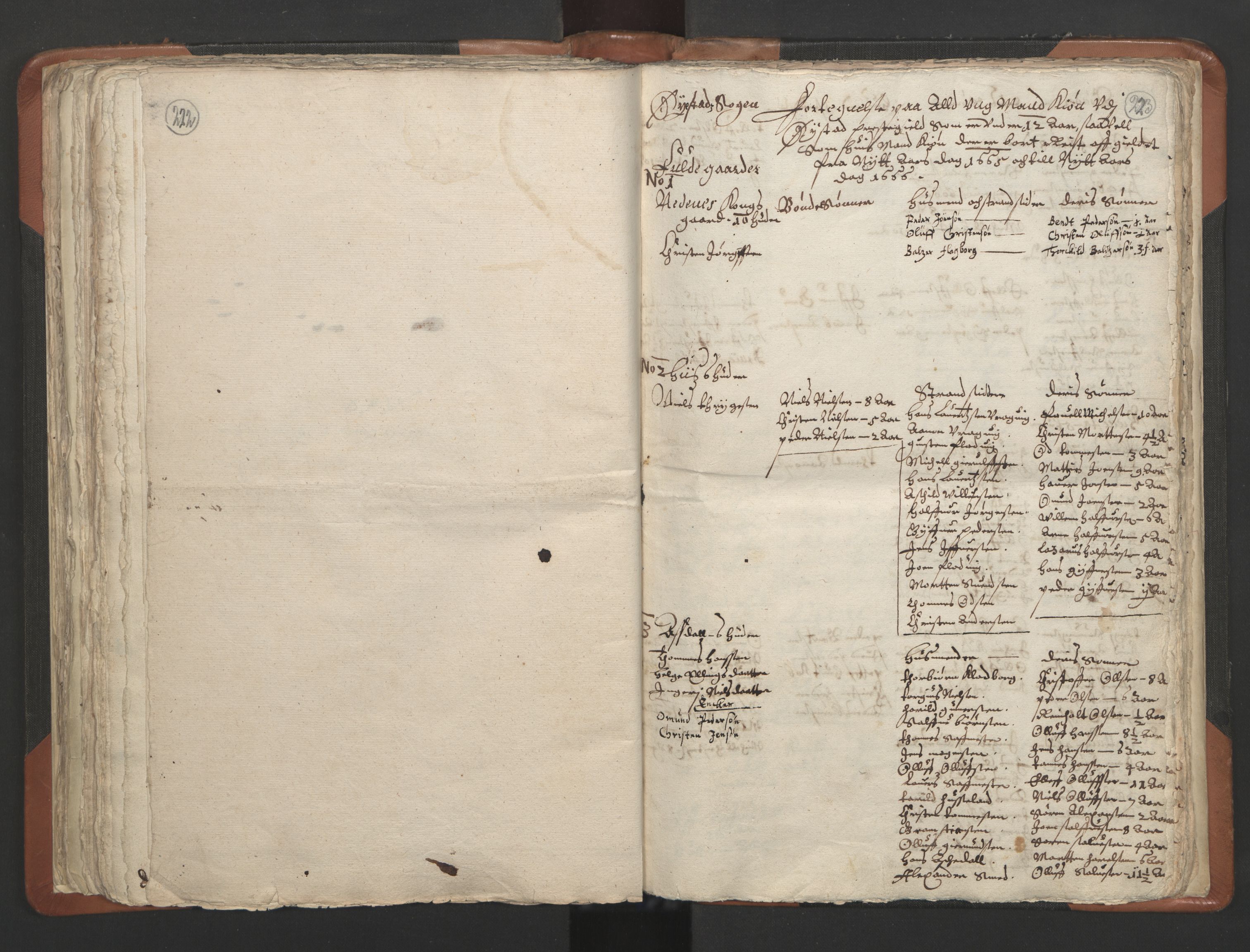 RA, Vicar's Census 1664-1666, no. 13: Nedenes deanery, 1664-1666, p. 222-223