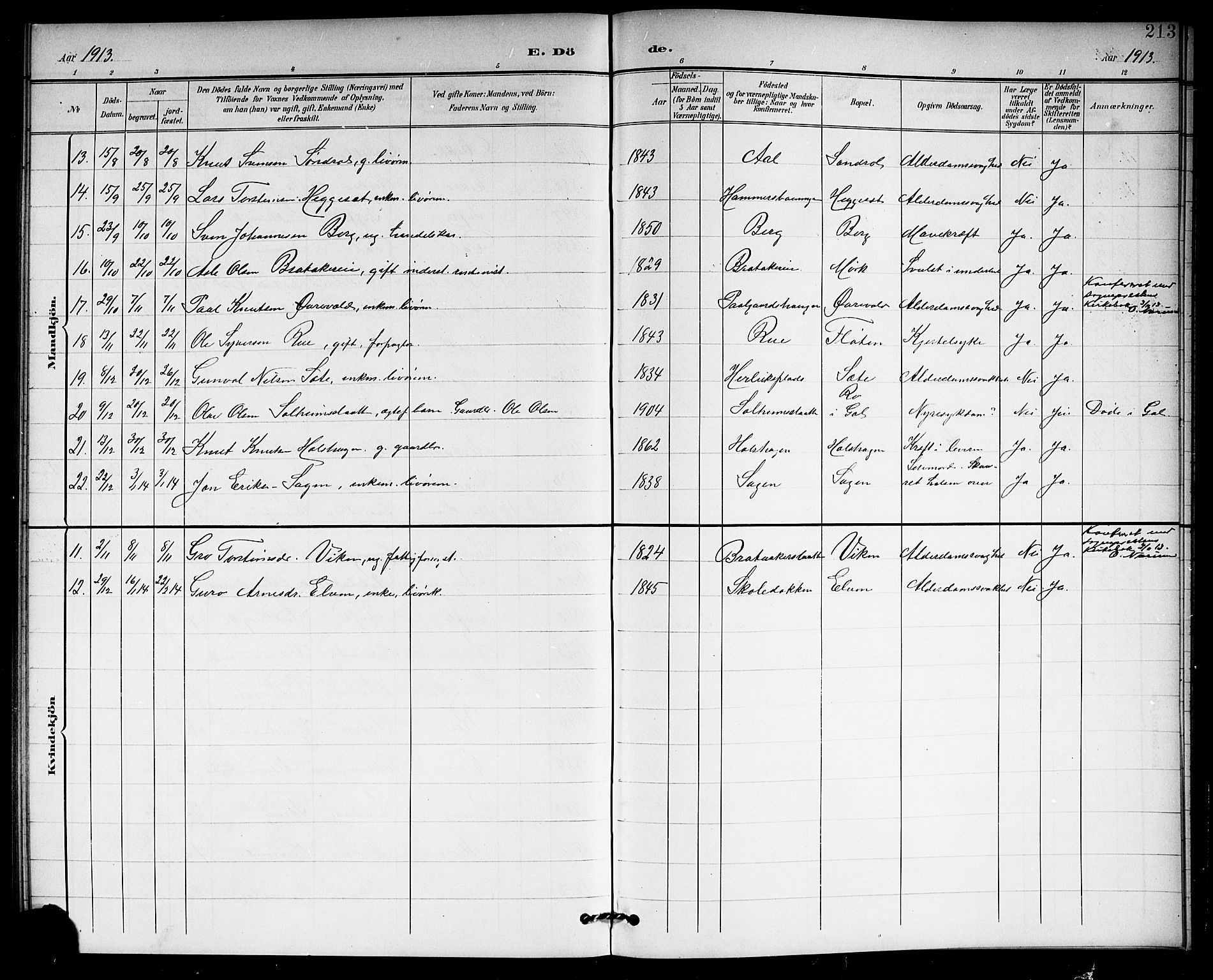 Hol kirkebøker, AV/SAKO-A-227/G/Ga/L0001: Parish register (copy) no. I 1, 1900-1919, p. 213