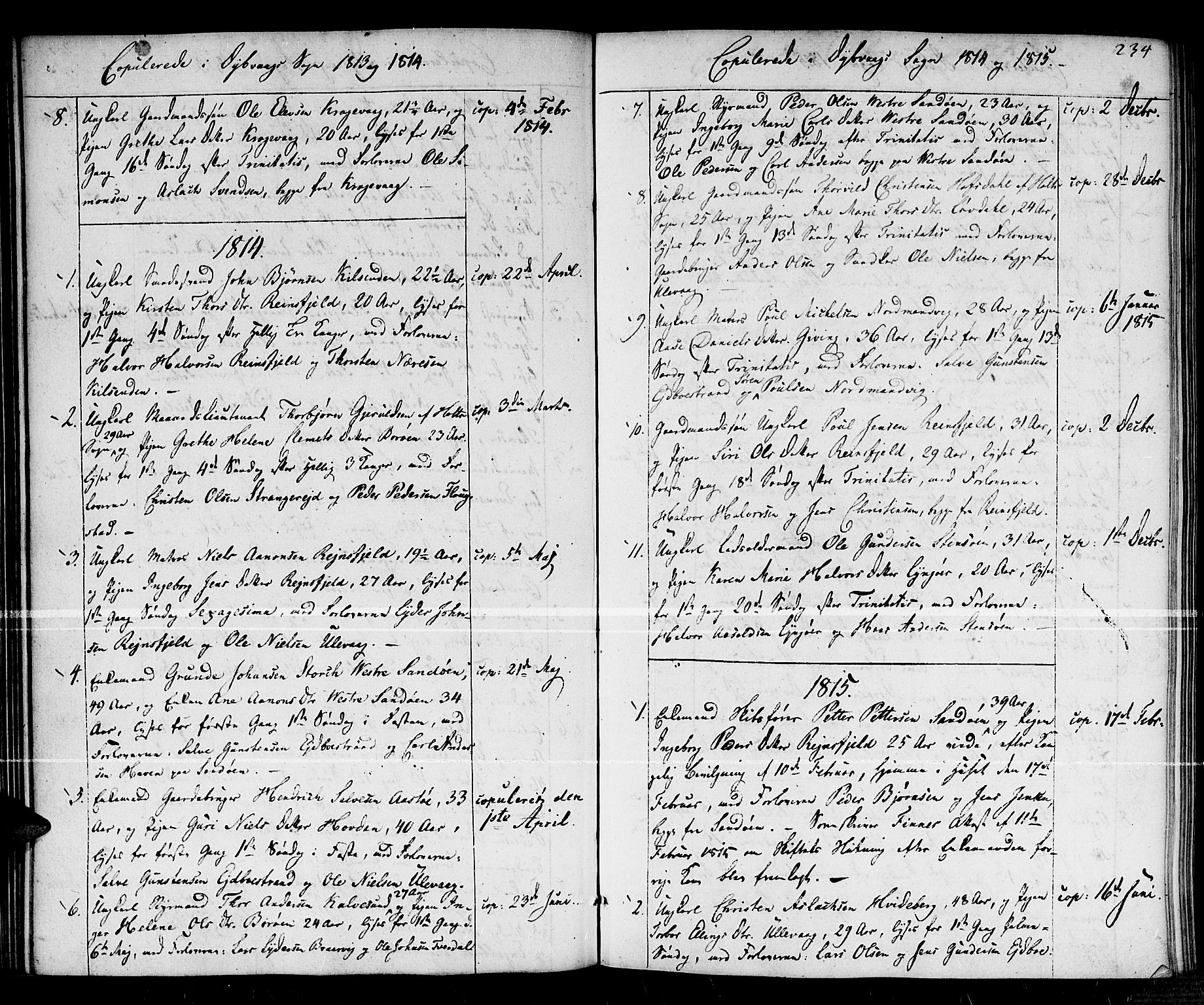 Dypvåg sokneprestkontor, SAK/1111-0007/F/Fa/Faa/L0002: Parish register (official) no. A 2/ 1, 1813-1824, p. 234