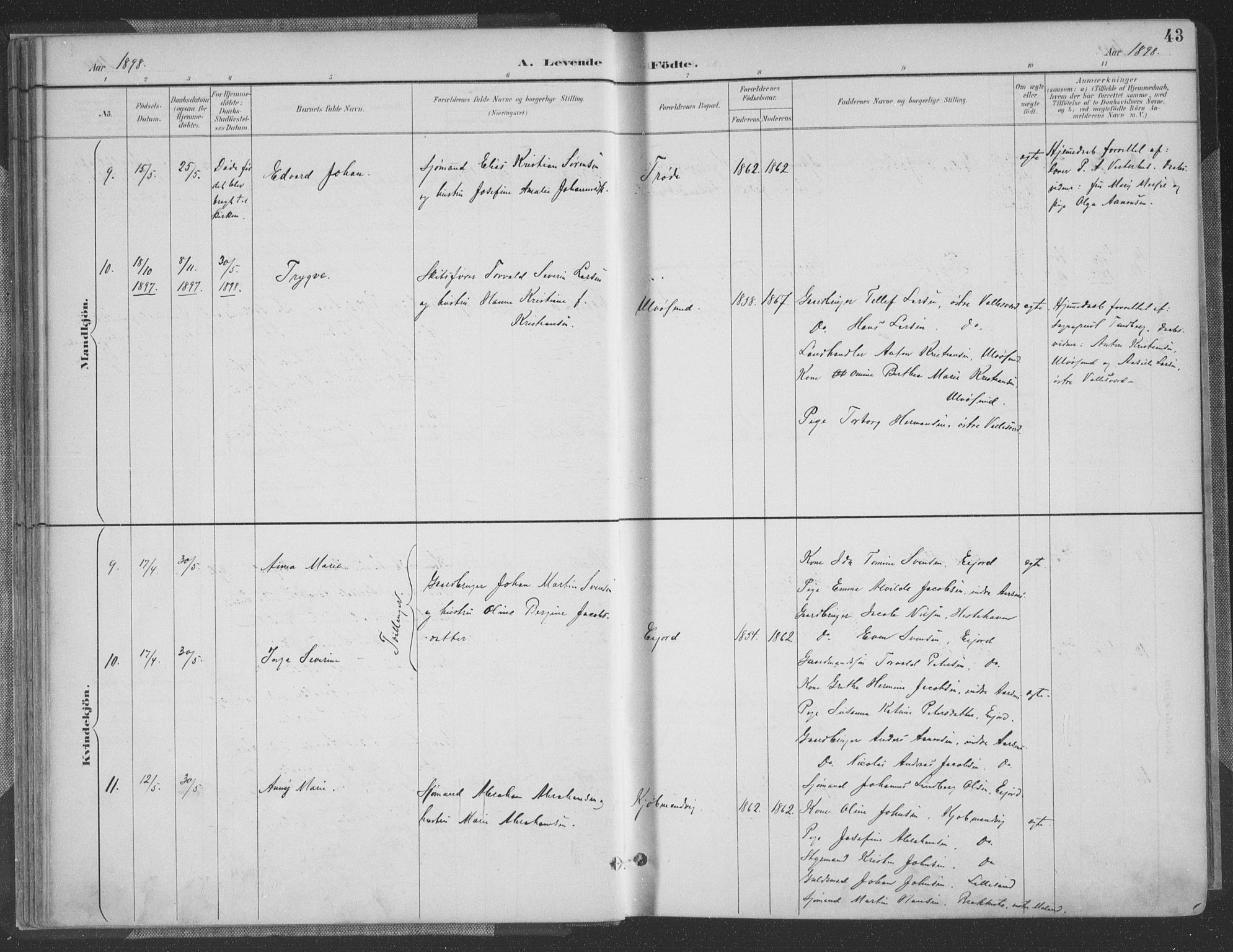 Høvåg sokneprestkontor, AV/SAK-1111-0025/F/Fa/L0006: Parish register (official) no. A 6, 1894-1923, p. 43