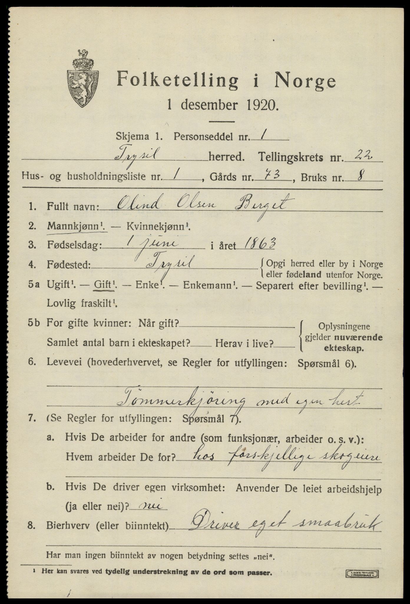 SAH, 1920 census for Trysil, 1920, p. 14563