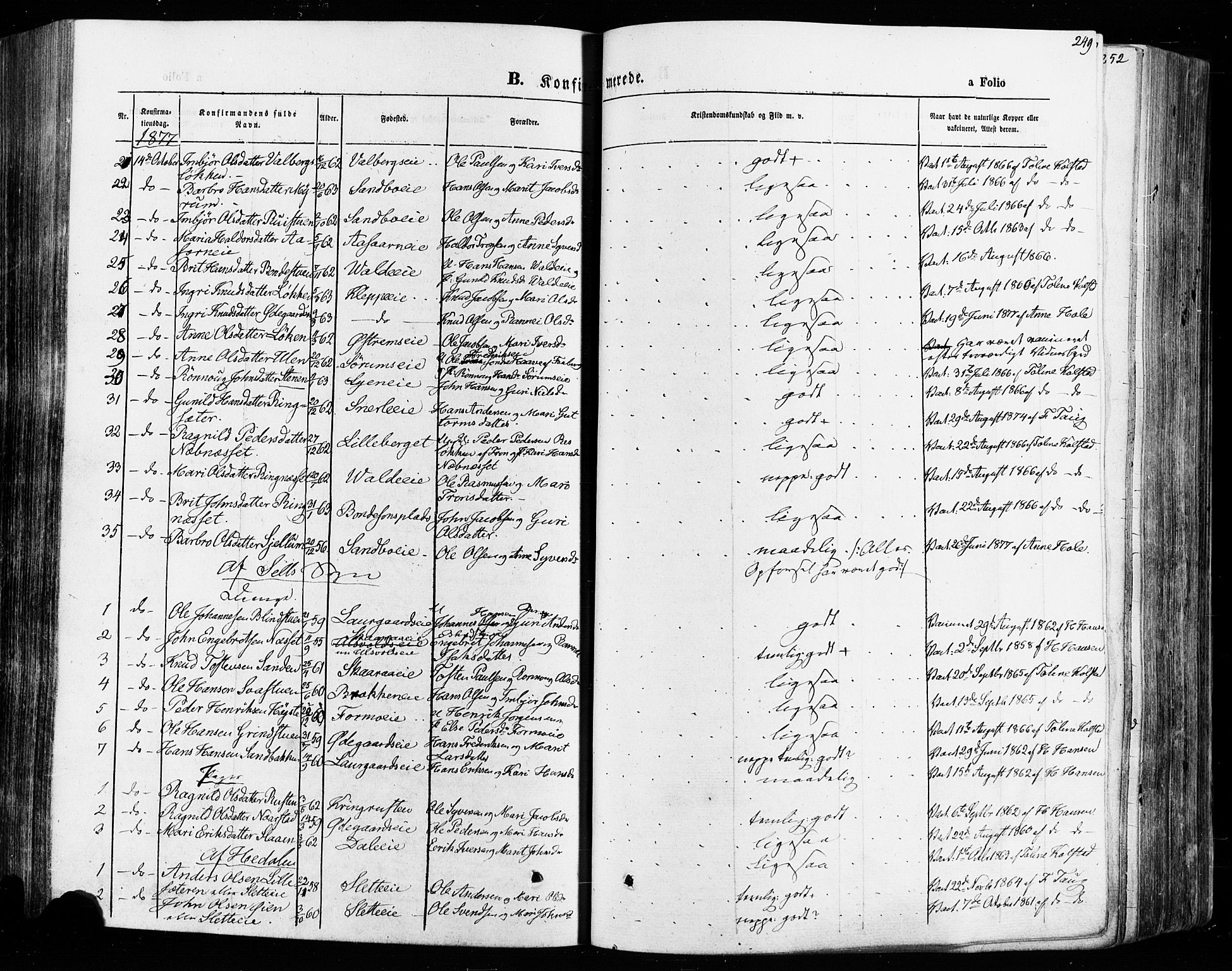 Vågå prestekontor, AV/SAH-PREST-076/H/Ha/Haa/L0007: Parish register (official) no. 7 /1, 1872-1886, p. 249